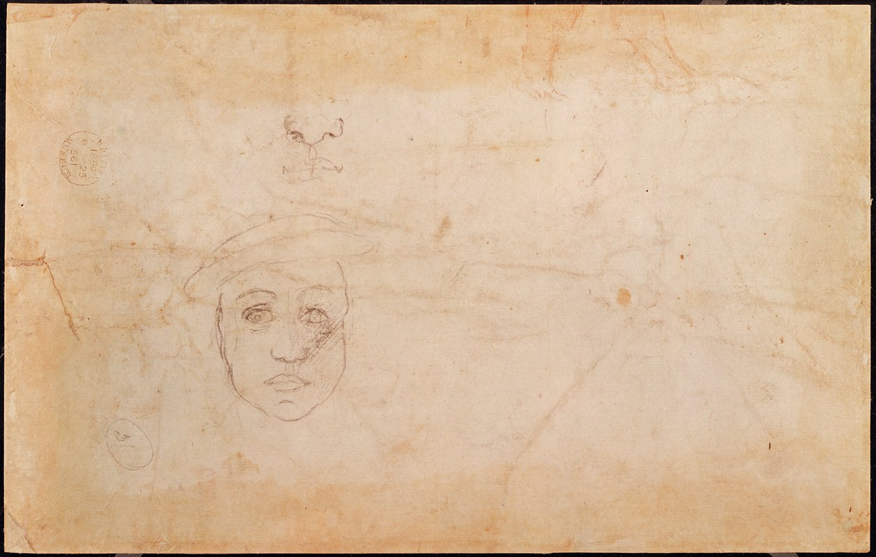 研究男性头部（反面） 作者 米开朗基罗（Michelangelo Buonarroti）