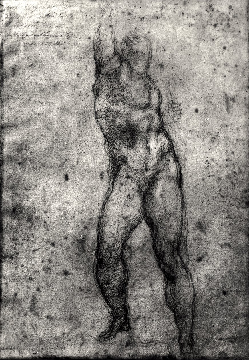 研究男性裸体 作者 米开朗基罗（Michelangelo Buonarroti）
