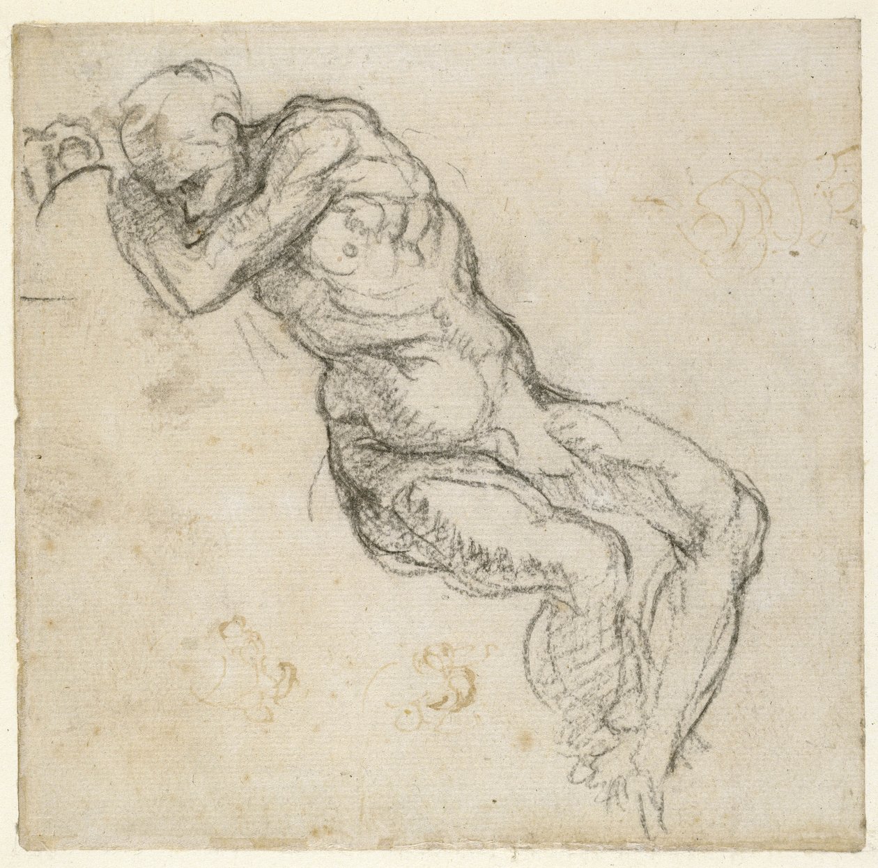 研究男性裸体，c.1511（笔和黑色粉笔在纸上） 作者 米开朗基罗（Michelangelo Buonarroti）