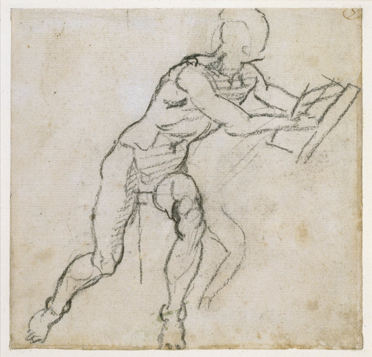 坐着的男性裸体的研究，c.1511（纸上的黑色粉笔） 作者 米开朗基罗（Michelangelo Buonarroti）
