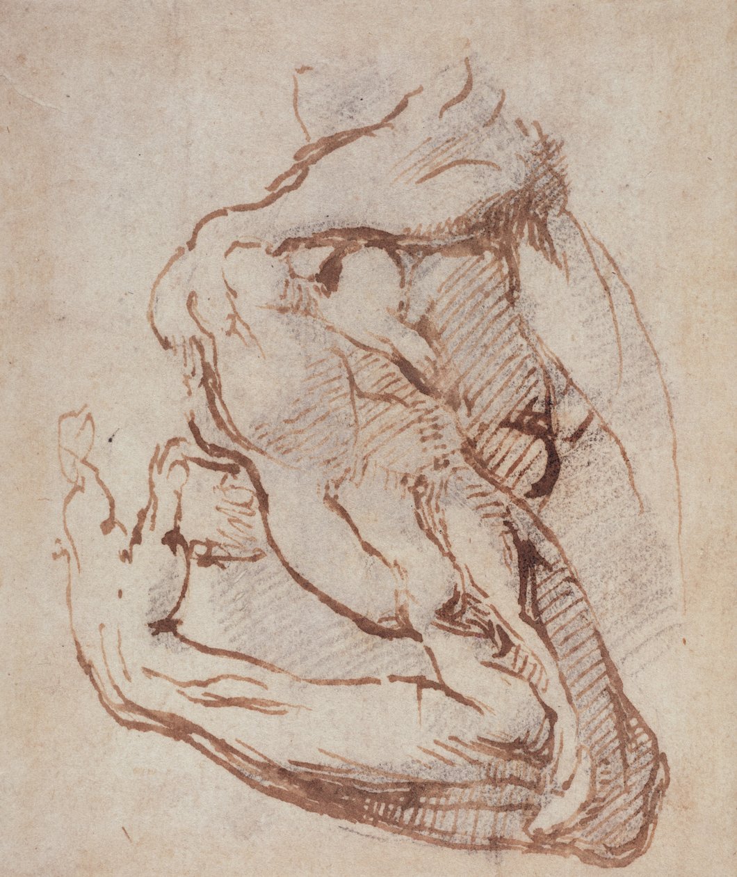 研究手臂（墨水）Inv.1859514819（W.49） 作者 米开朗基罗（Michelangelo Buonarroti）