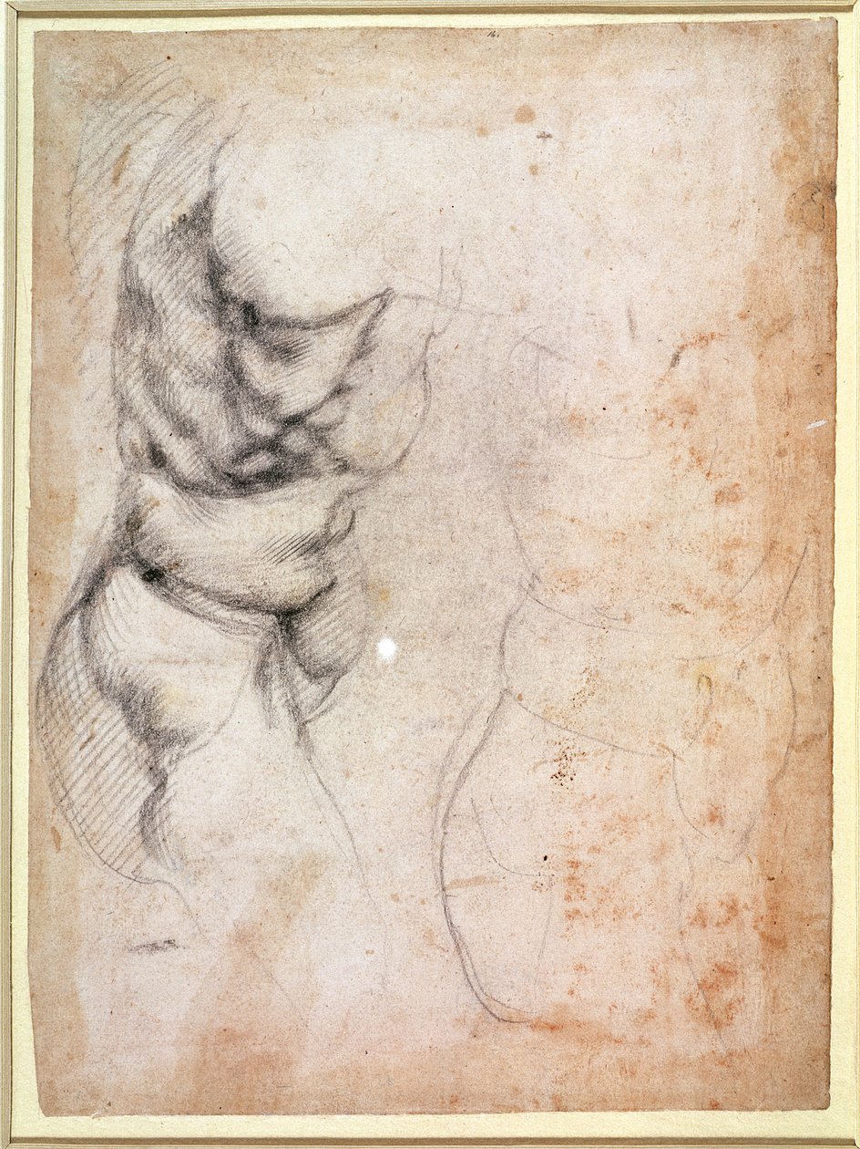 研究躯干和臀部（木炭在纸上）（正面） 作者 米开朗基罗（Michelangelo Buonarroti）
