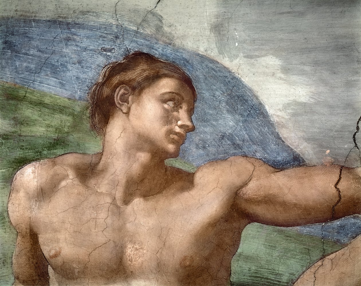 亚当的创造，亚当斯头的细节，1508-12 作者 米开朗基罗（Michelangelo Buonarroti）