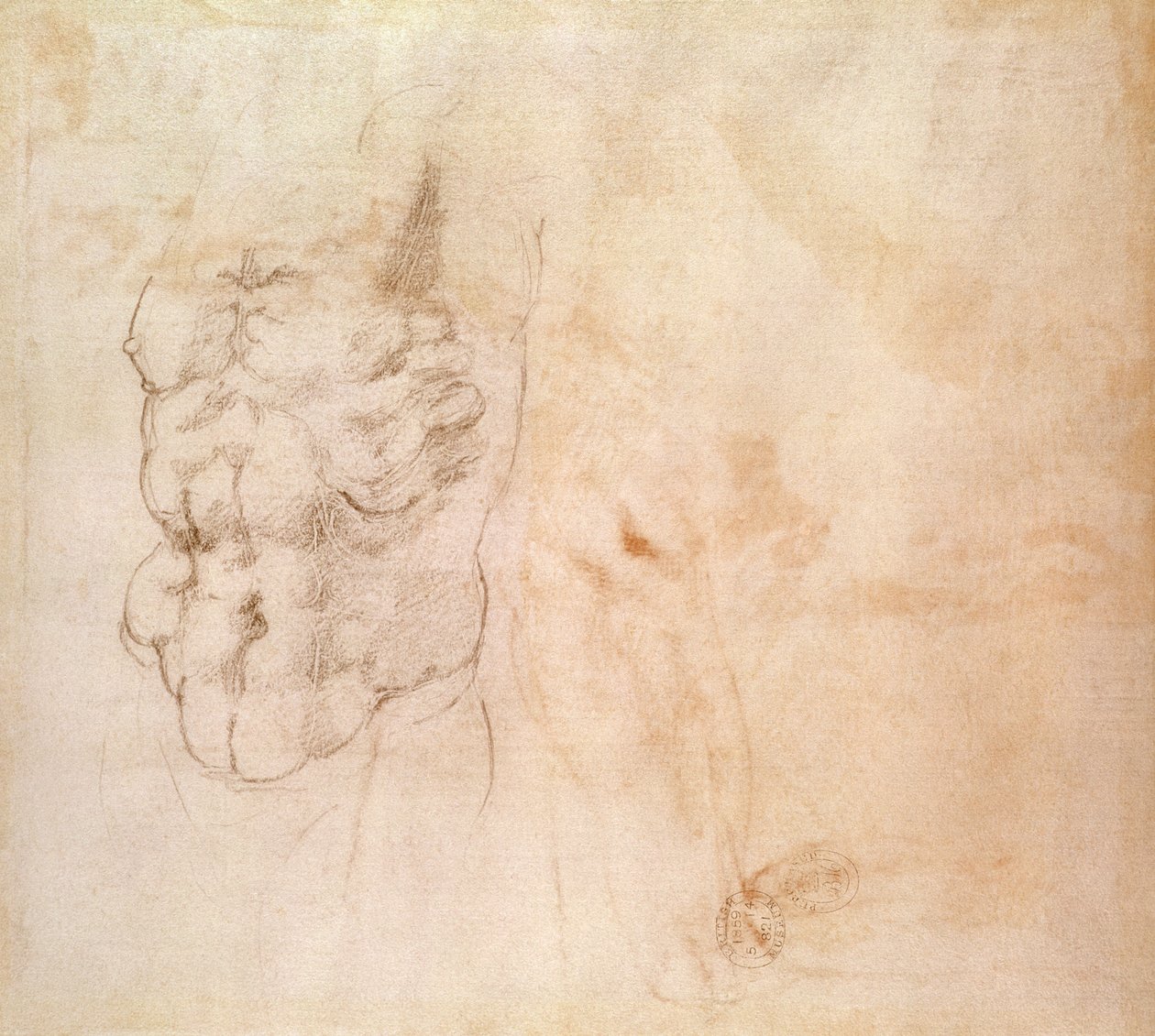 躯干研究（红色和黑色粉笔在纸上） 作者 米开朗基罗（Michelangelo Buonarroti）