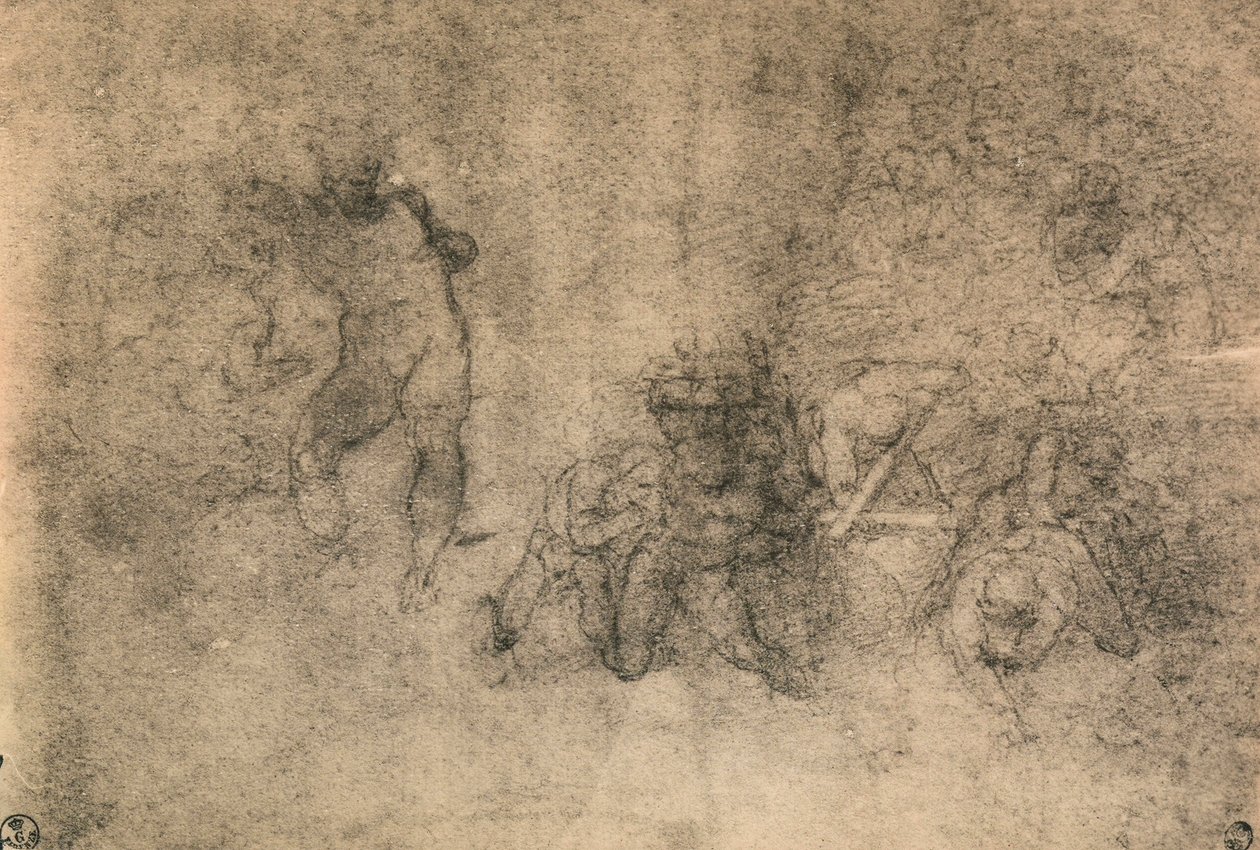 对男性裸体米开朗基罗的各种研究。内阁图纸和版画，乌菲齐画廊，佛罗伦萨 作者 米开朗基罗（Michelangelo Buonarroti）
