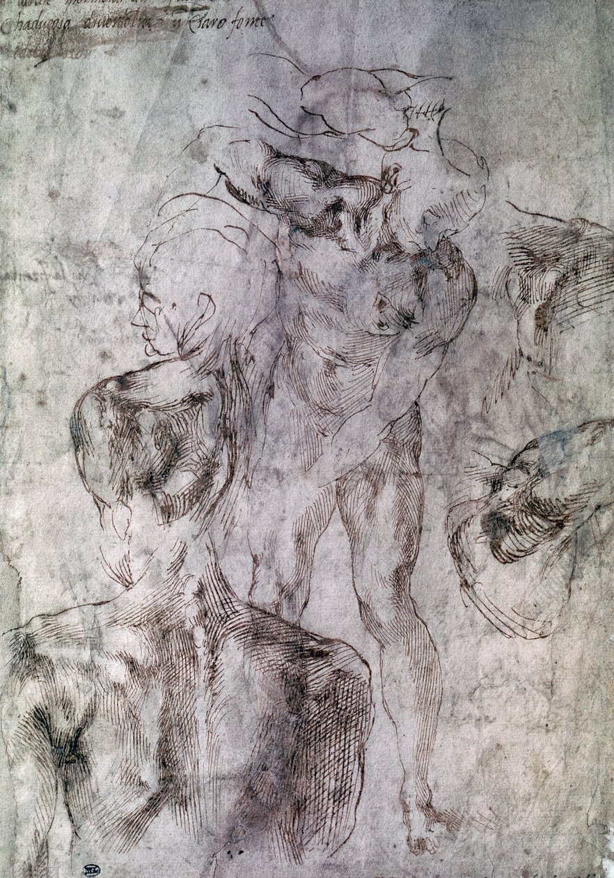 各种研究，大卫研究的反面 作者 米开朗基罗（Michelangelo Buonarroti）