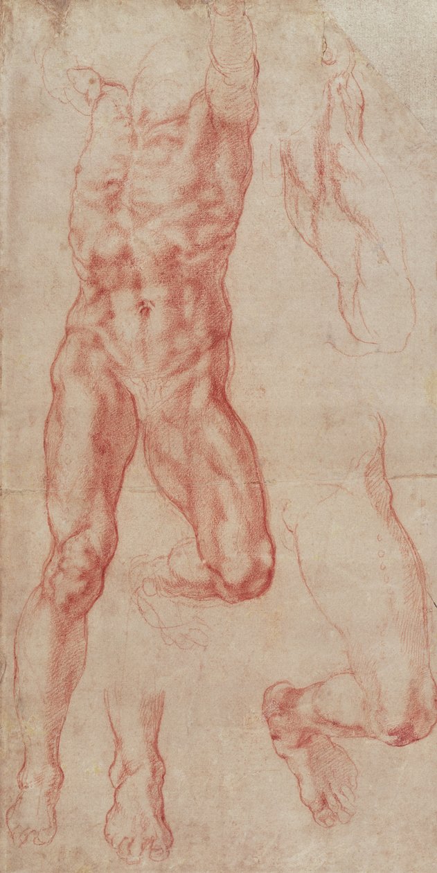 研究男性裸体，向上伸展 作者 米开朗基罗（Michelangelo Buonarroti）