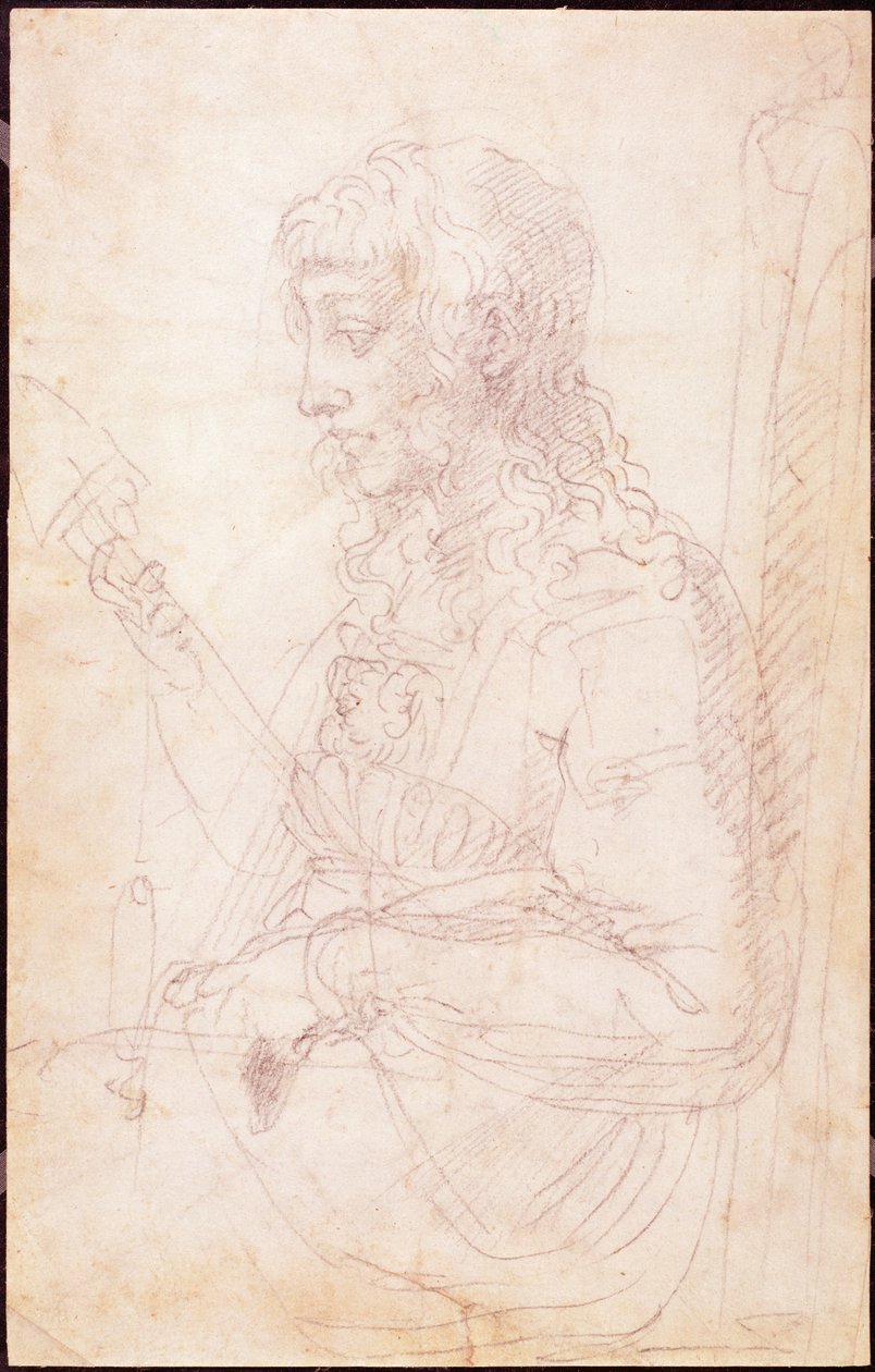 W.40女性形象的素描 作者 米开朗基罗（Michelangelo Buonarroti）