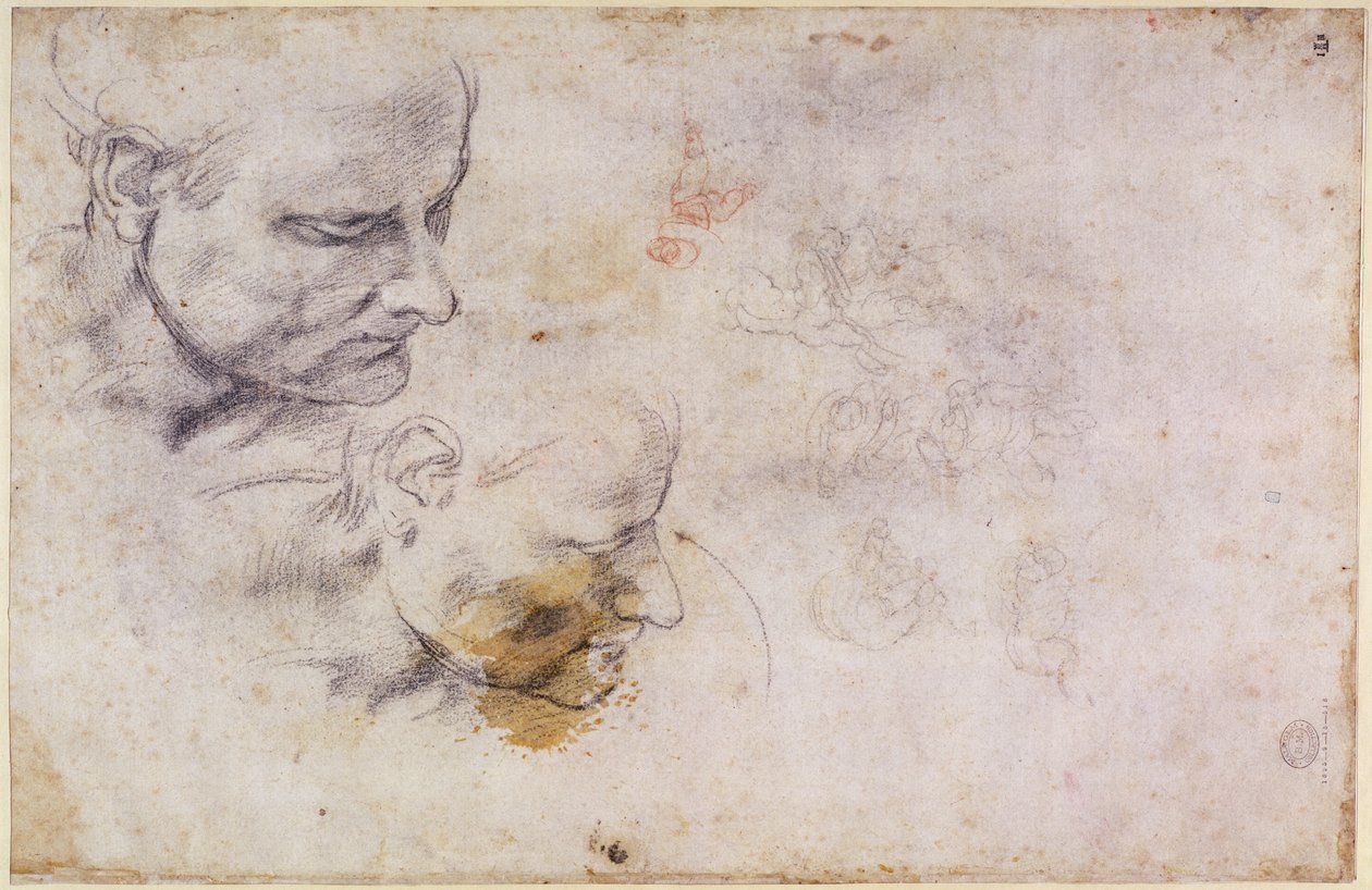 W.60男性头部的草图，分为两个位置 作者 米开朗基罗（Michelangelo Buonarroti）