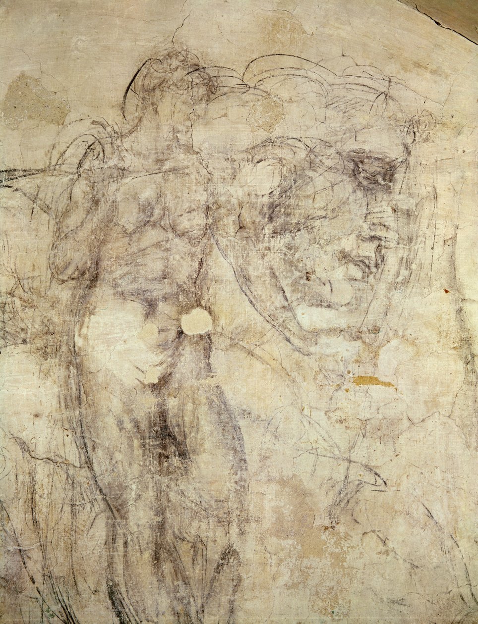 墙上画的女性形象和头，c.1530（石膏上的木炭） 作者 米开朗基罗（Michelangelo Buonarroti）