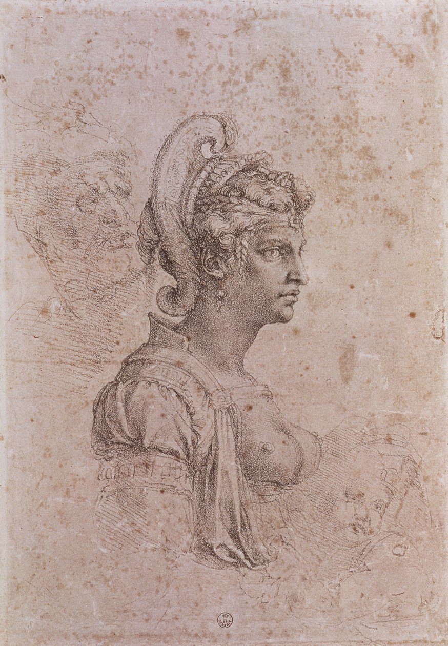 Zenobia，叙利亚巴尔米拉女王（公元3世纪）（纸上木炭） 作者 米开朗基罗（Michelangelo Buonarroti）