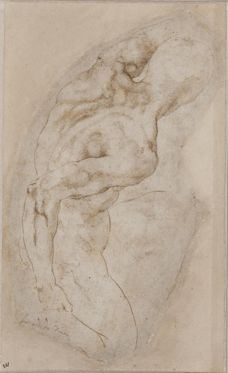 从后面看跪着的青年 作者 米开朗基罗（Michelangelo Buonarroti）