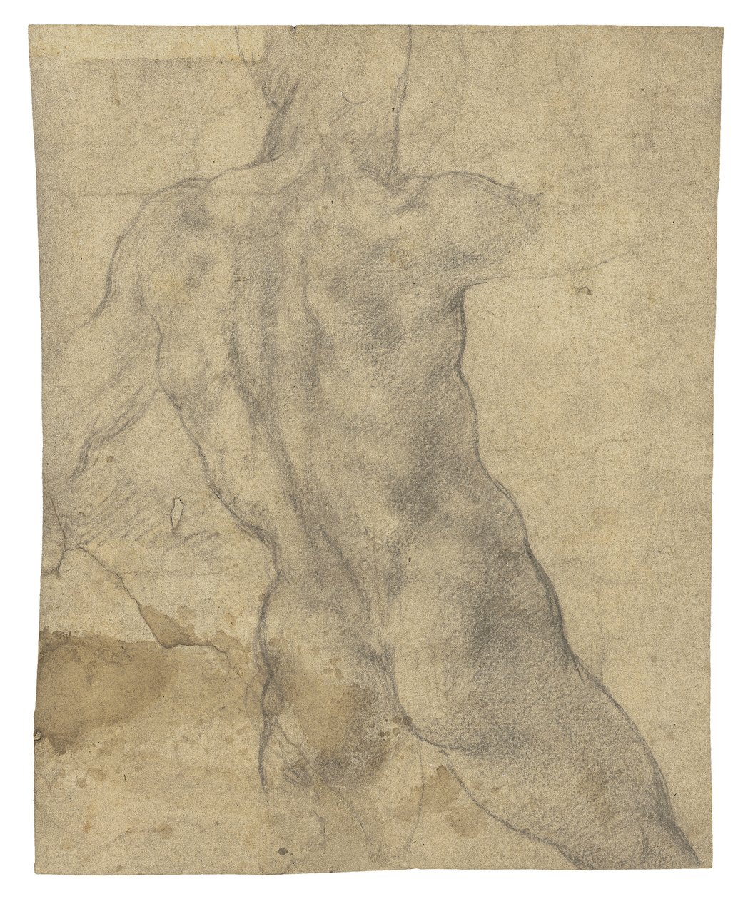 从后面看的男性裸体 作者 米开朗基罗（Michelangelo Buonarroti）