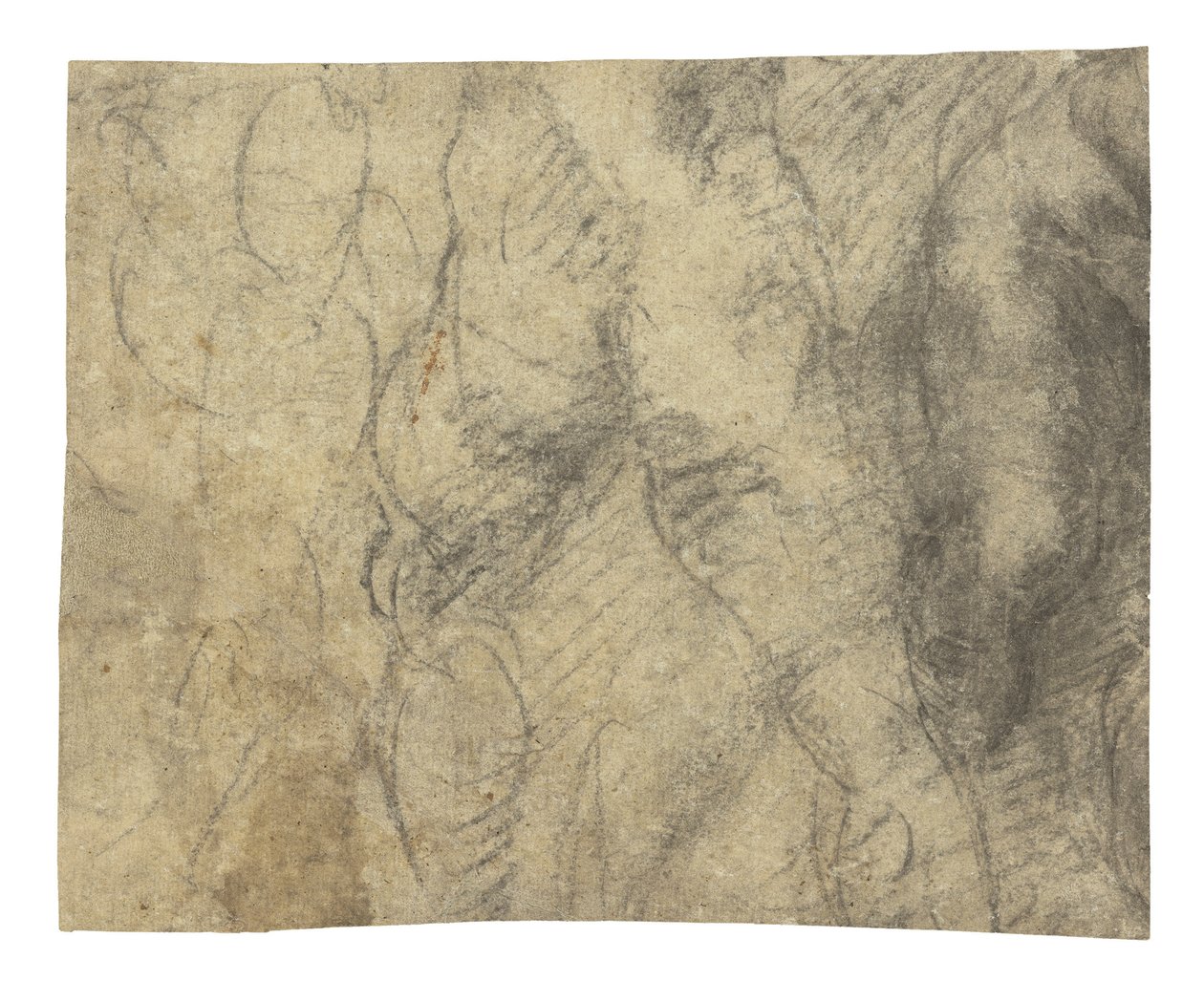 从后面看的男性裸体 作者 米开朗基罗（Michelangelo Buonarroti）