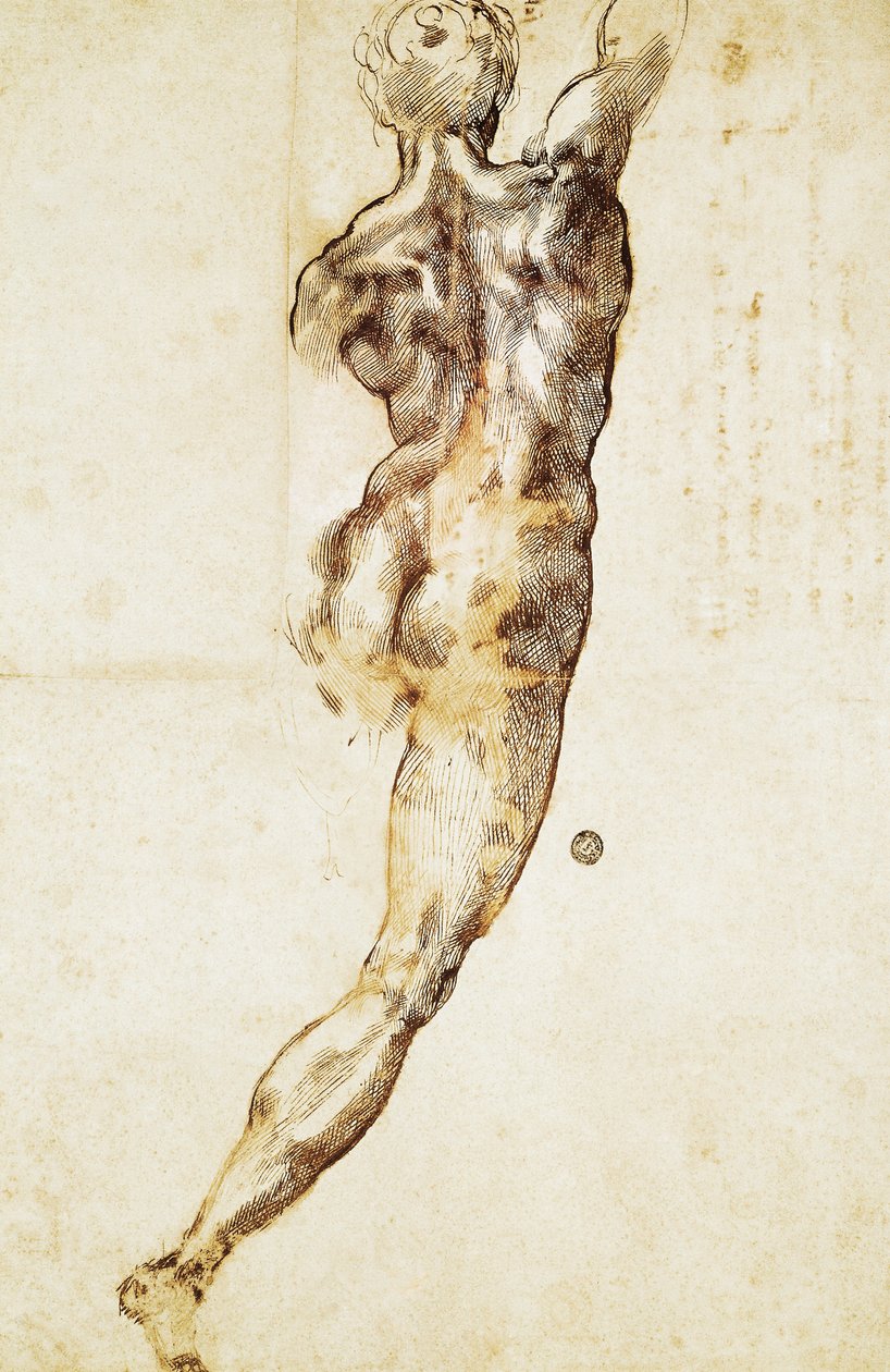 米开朗基罗（1475-1564）创作的《卡西纳之战》研究报告中的男性裸体从背后看去，图画。 作者 米开朗基罗（Michelangelo Buonarroti）