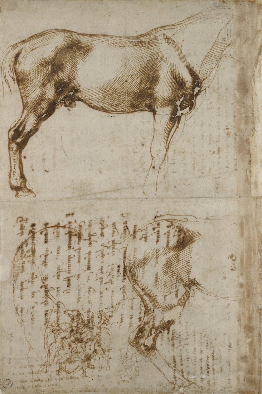解剖马研究，1504 作者 米开朗基罗（Michelangelo Buonarroti）