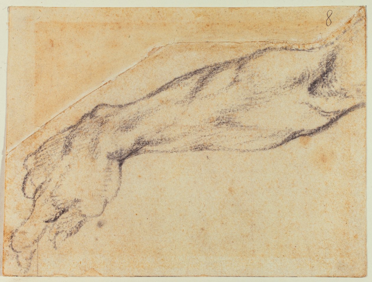 西斯廷人物手臂研究 作者 米开朗基罗（Michelangelo Buonarroti）