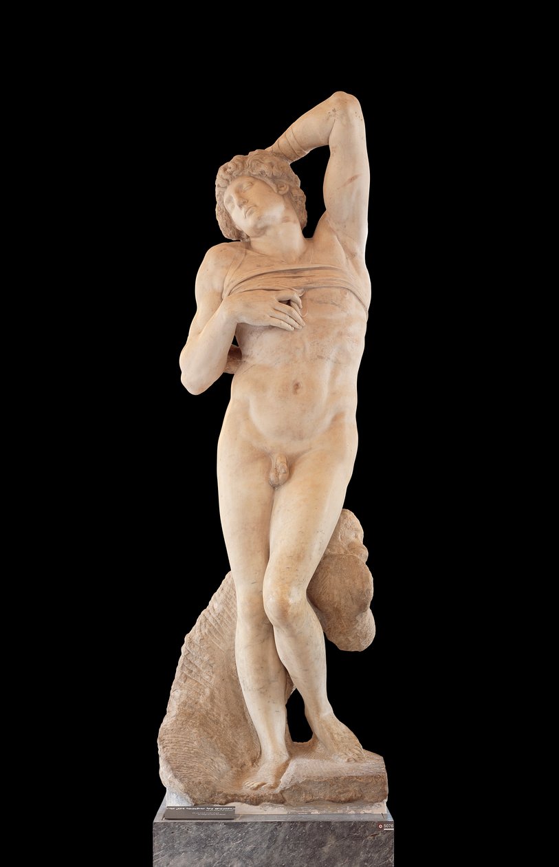 俘虏，被称为垂死的奴隶 作者 米开朗基罗（Michelangelo Buonarroti）