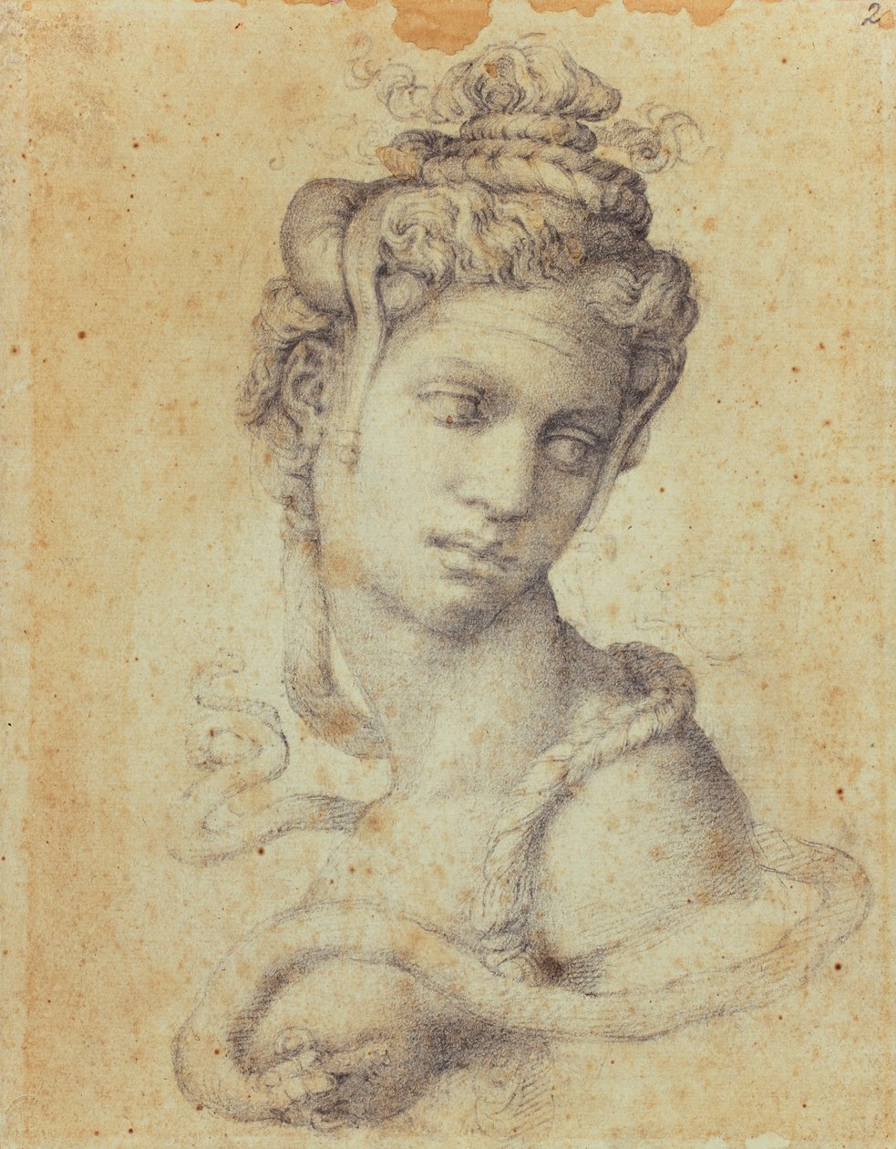 埃及艳后 作者 米开朗基罗（Michelangelo Buonarroti）