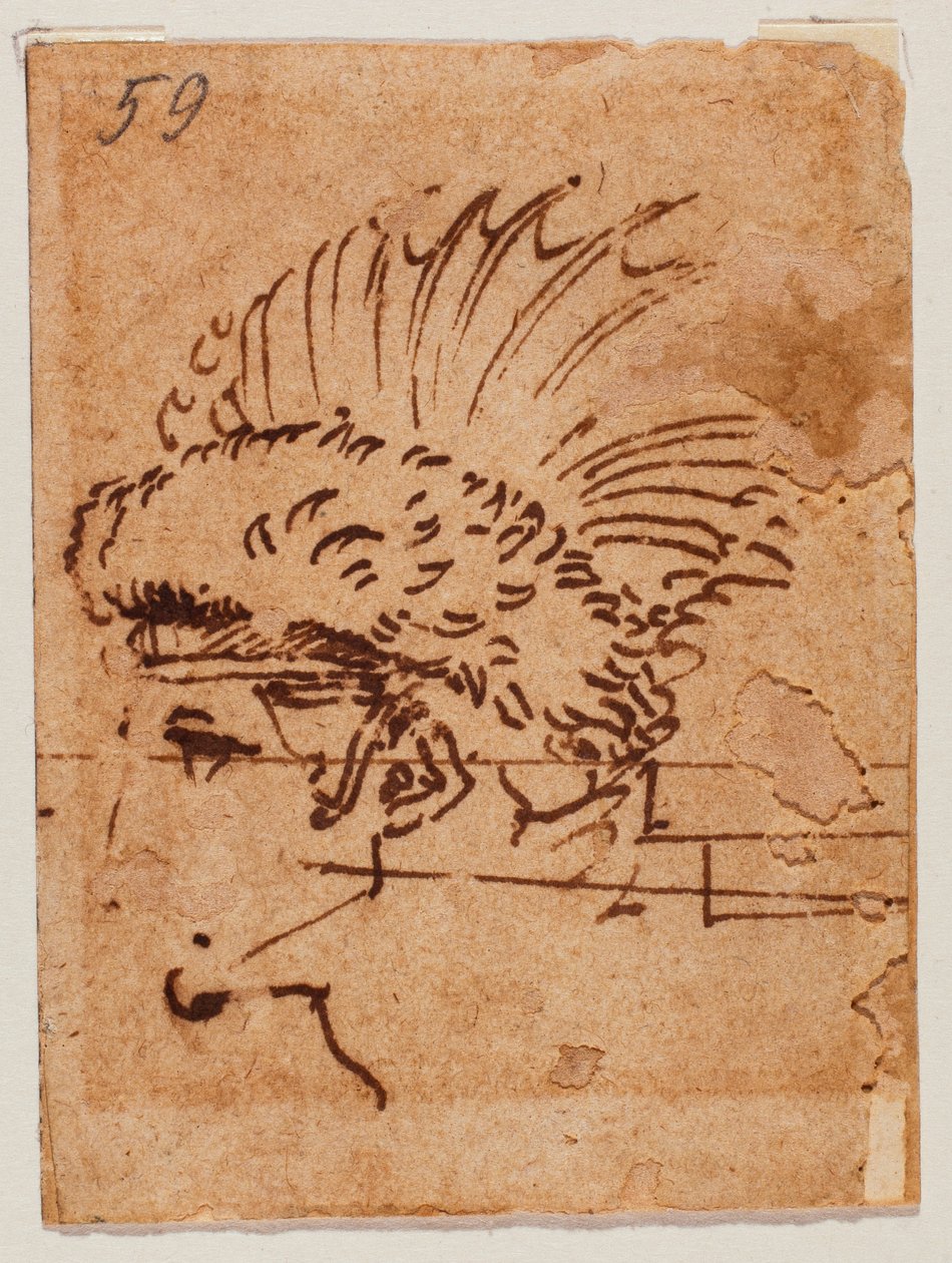 冠状头 作者 米开朗基罗（Michelangelo Buonarroti）