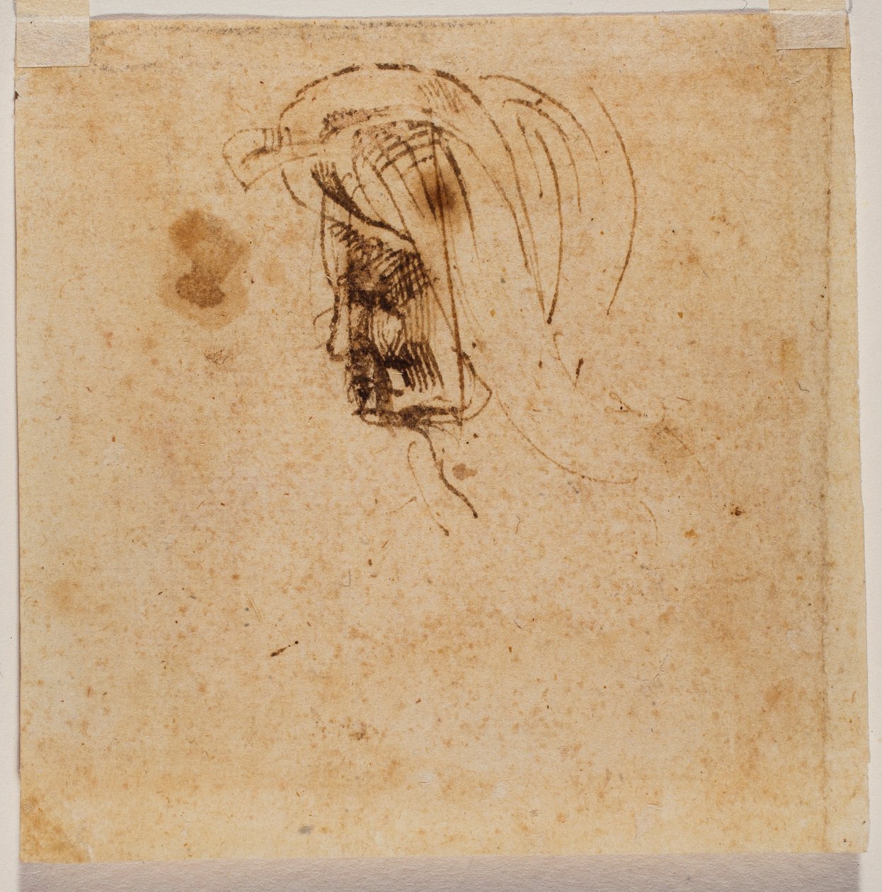 女性头部 作者 米开朗基罗（Michelangelo Buonarroti）
