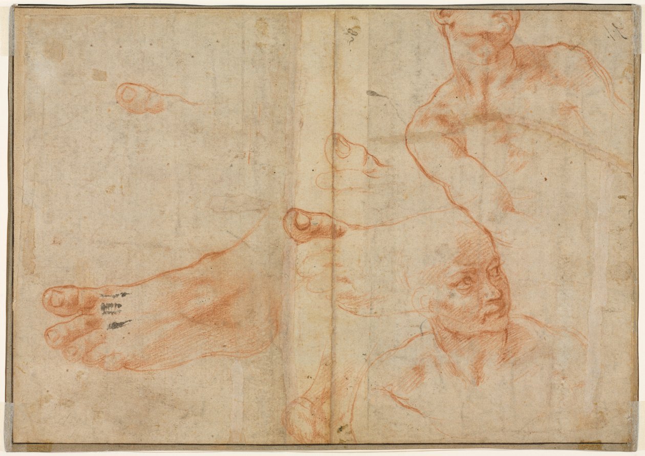 西斯廷天花板反面的人物研究，1510-11。 作者 米开朗基罗（Michelangelo Buonarroti）