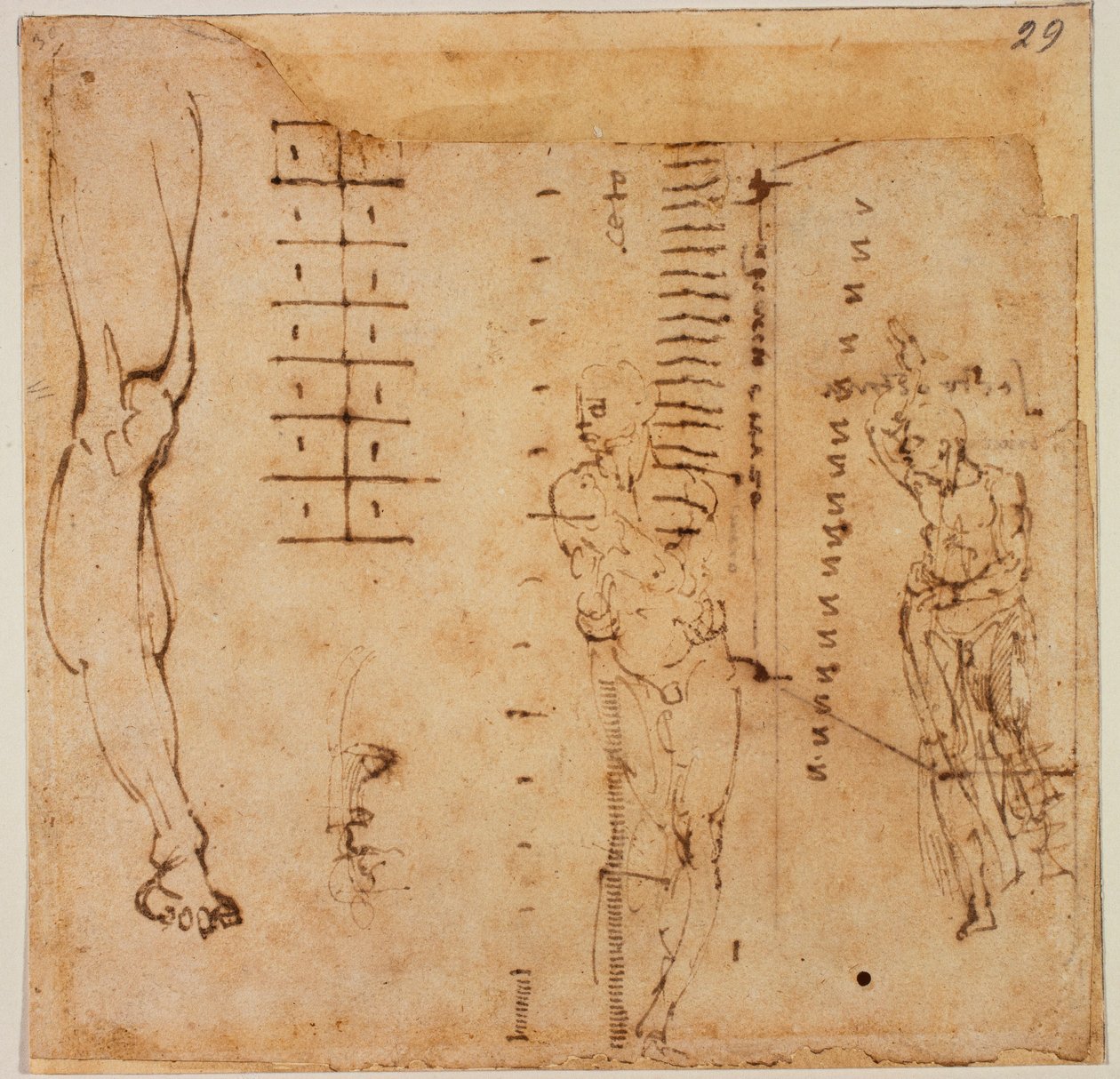 图表研究 作者 米开朗基罗（Michelangelo Buonarroti）