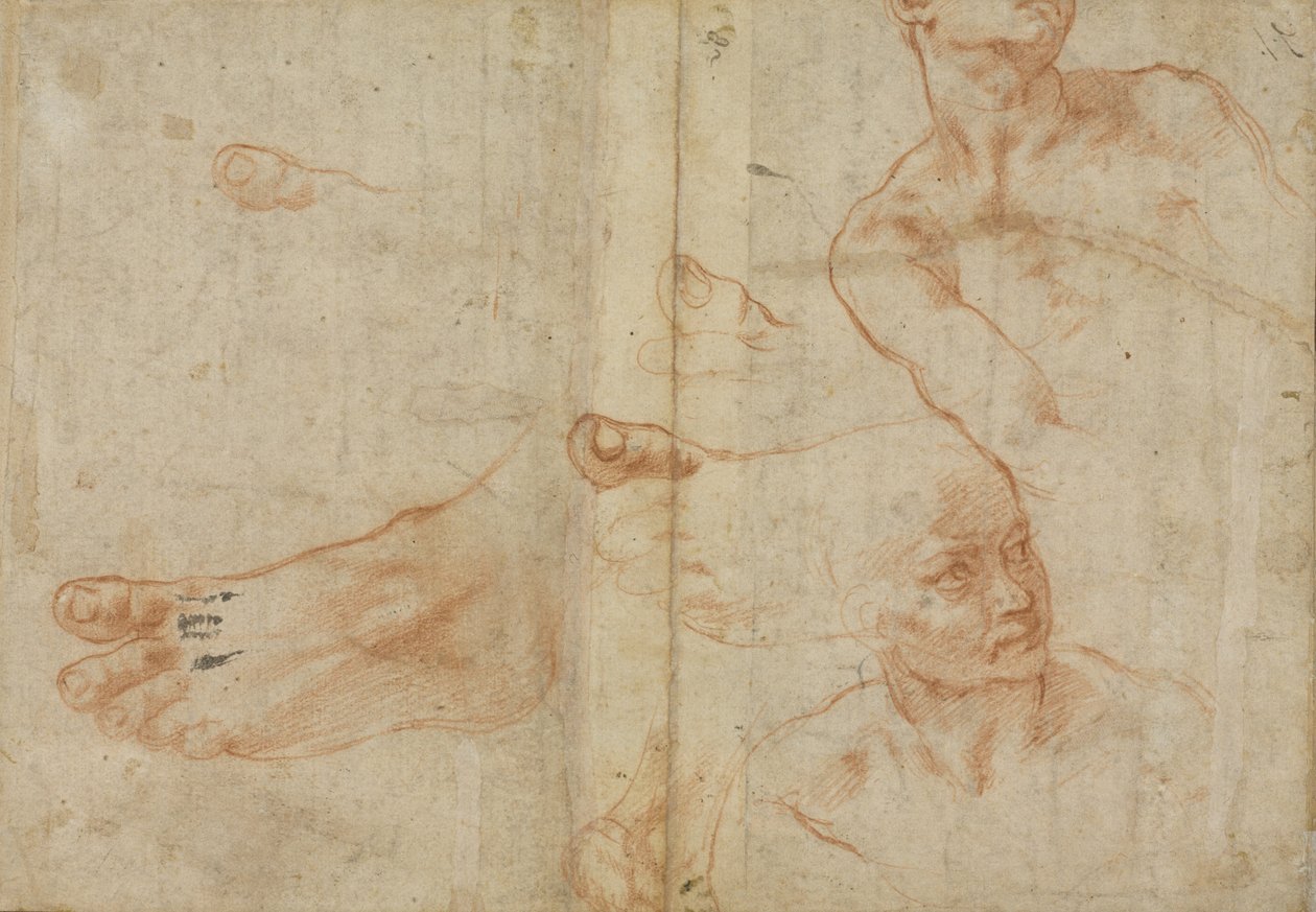 西斯廷天花板的数字研究 作者 米开朗基罗（Michelangelo Buonarroti）