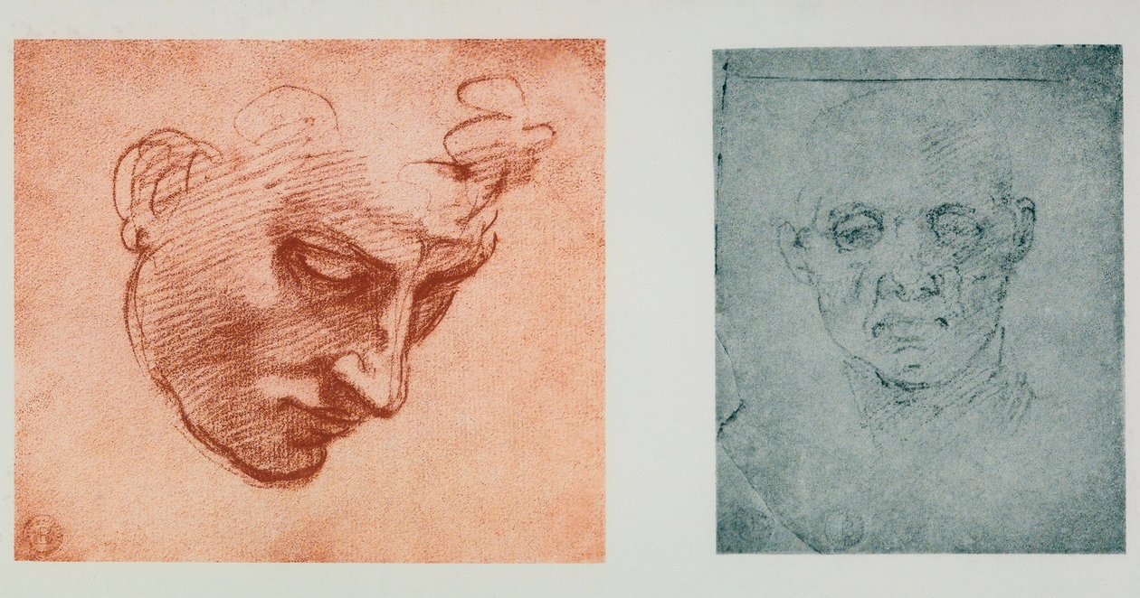 一张脸的正面图，一张在轮廓上;米开朗基罗的绘画。 Casa Buonarroti，佛罗伦萨 作者 米开朗基罗（Michelangelo Buonarroti）