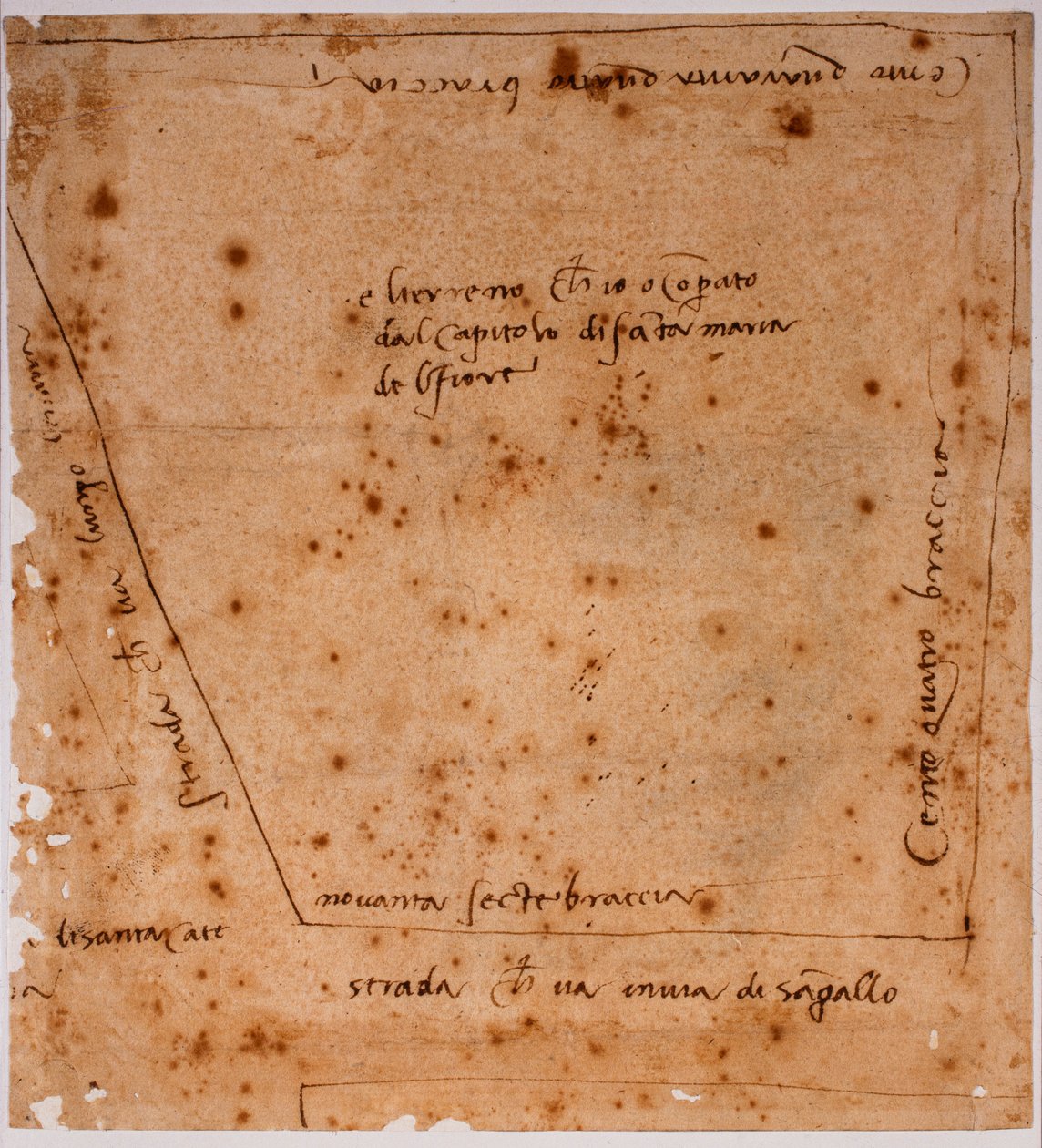 平面图 作者 米开朗基罗（Michelangelo Buonarroti）