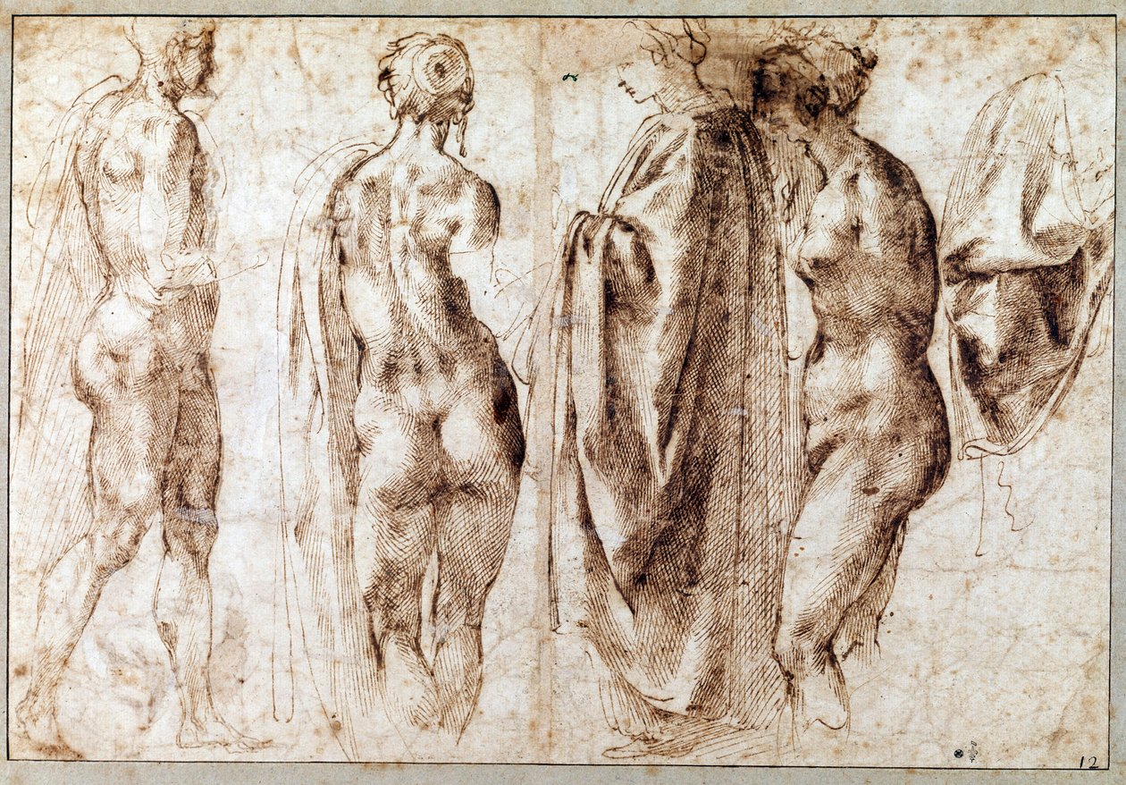 一组四人站立的人物和一幅悬垂画，由 Michelangelo Buonarroti dit Michelangelo (Michelangelo or Michel Ange) 笔下的 作者 米开朗基罗（Michelangelo Buonarroti）