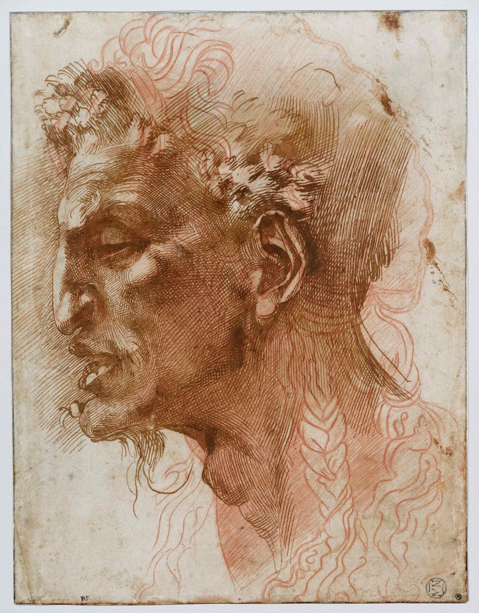 色情狂者的头。 作者 米开朗基罗（Michelangelo Buonarroti）