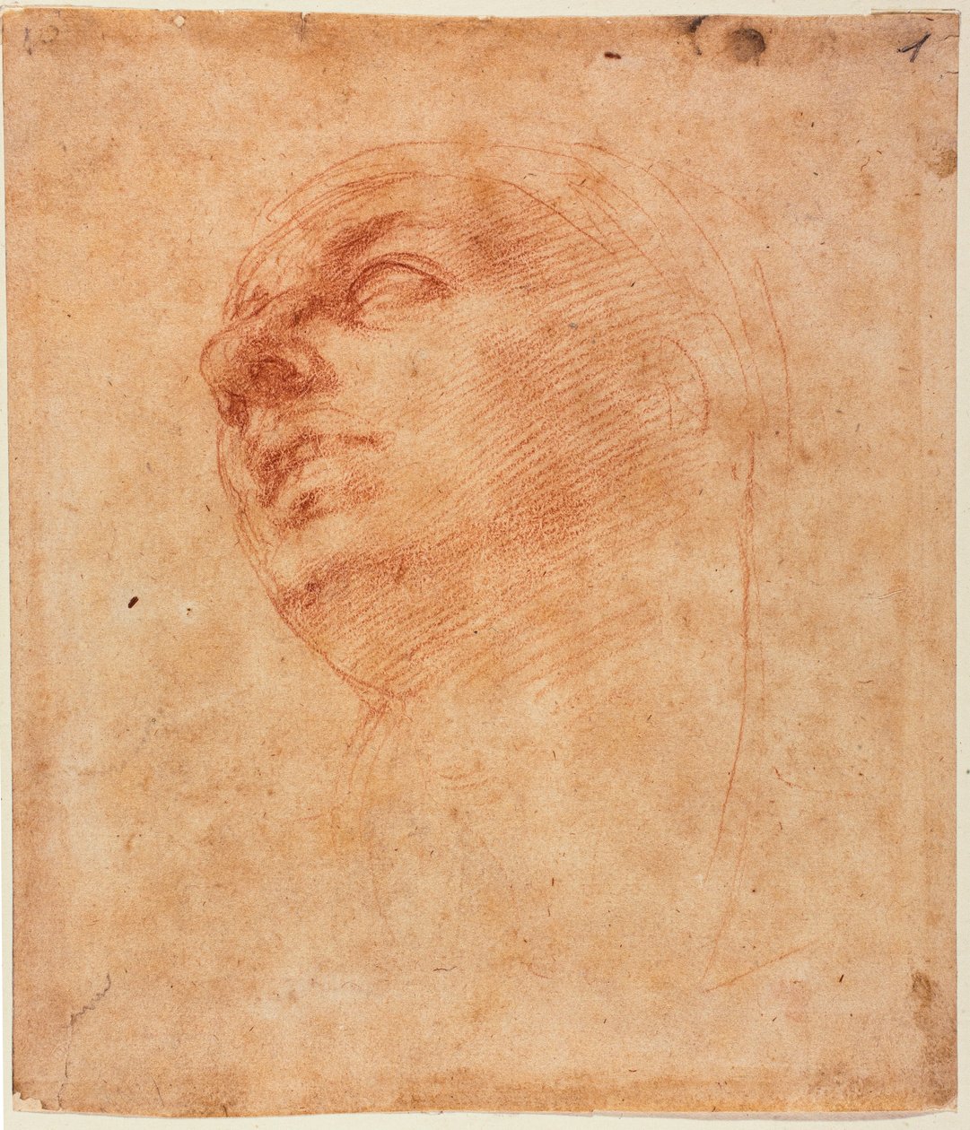 西斯汀约拿的头部研究 作者 米开朗基罗（Michelangelo Buonarroti）