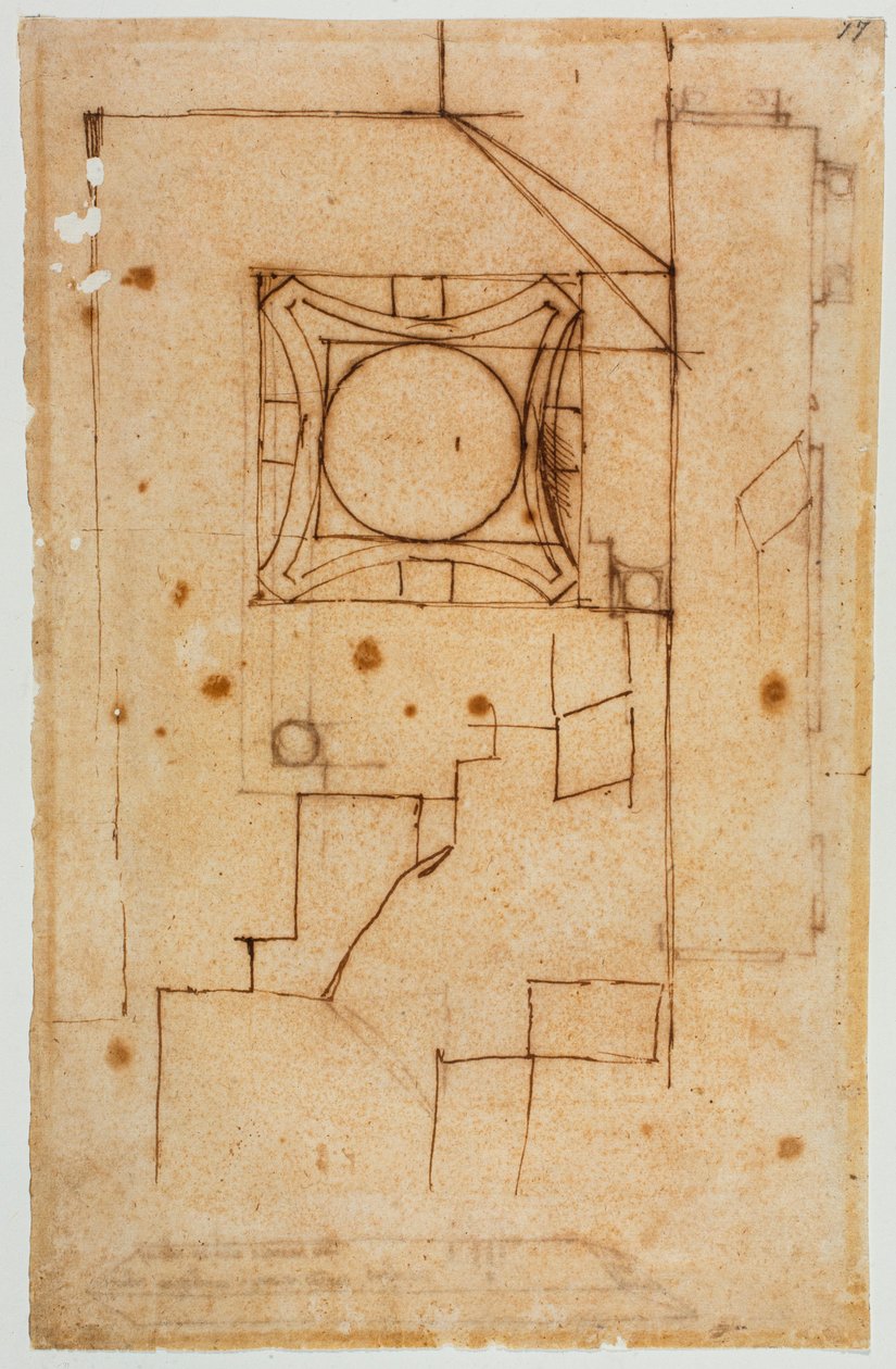 资本的横向部分 作者 米开朗基罗（Michelangelo Buonarroti）