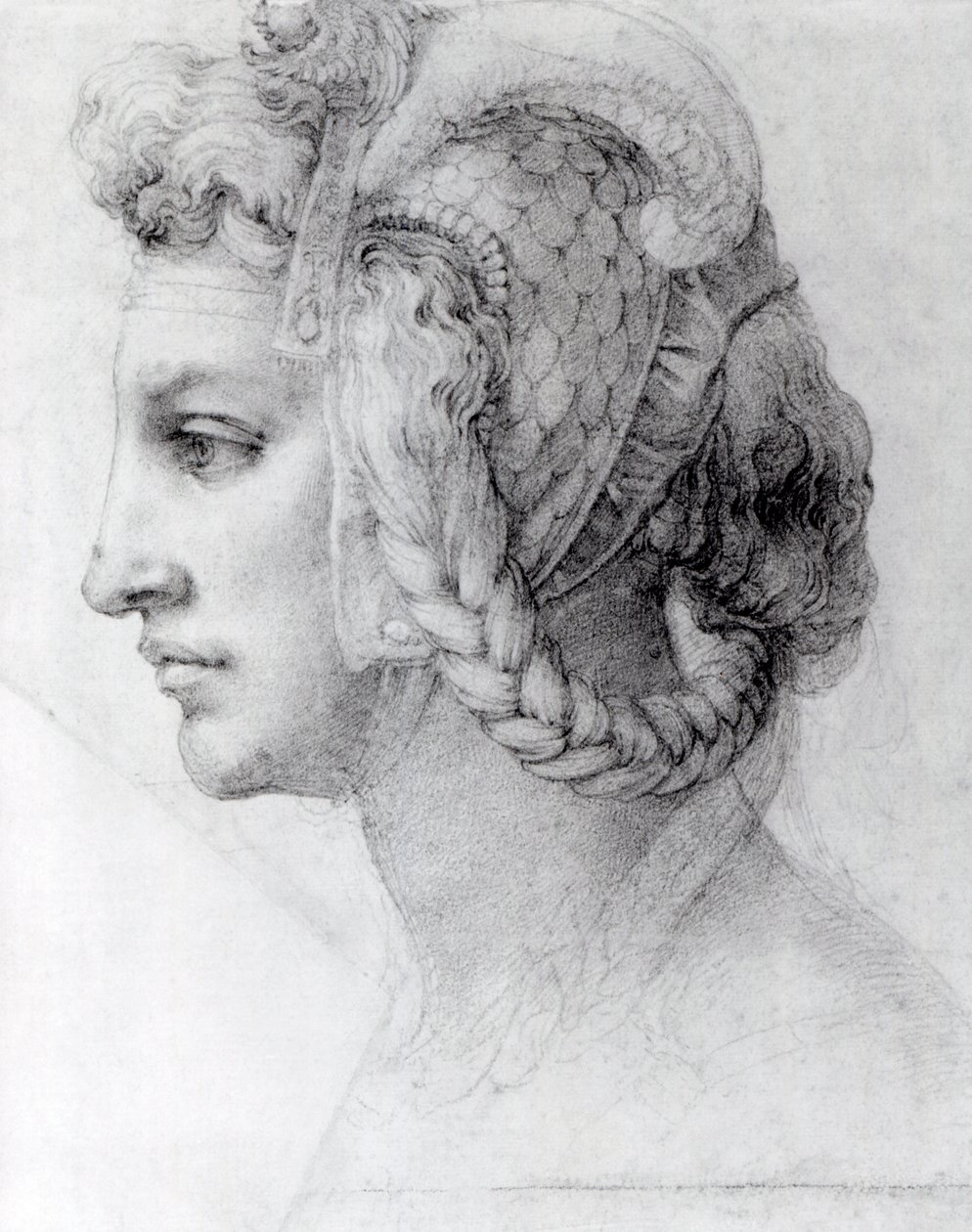 理想的女人头，c.1525-28（纸上的黑色粉笔） 作者 米开朗基罗（Michelangelo Buonarroti）