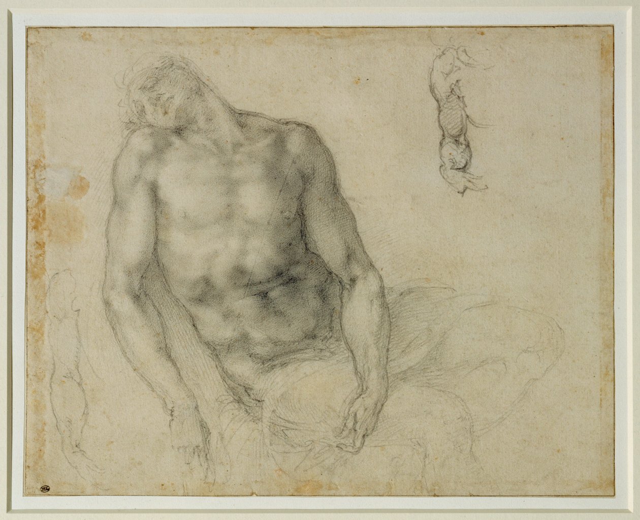 死去的基督和两次重复的右臂... 作者 米开朗基罗（Michelangelo Buonarroti）