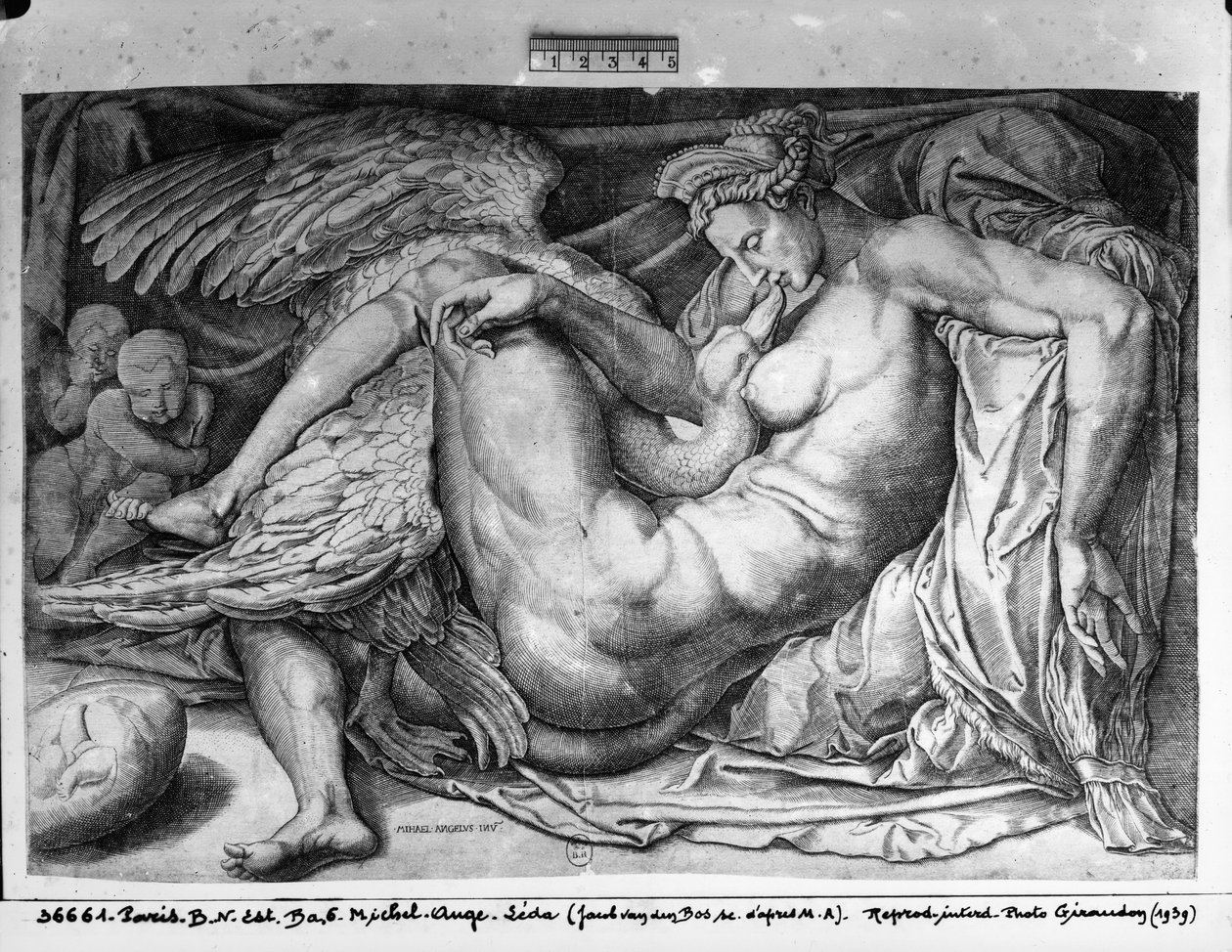 Leda，由Jacobus Bos，Boss或Bossius（bc1520）雕刻 作者 米开朗基罗（Michelangelo Buonarroti）