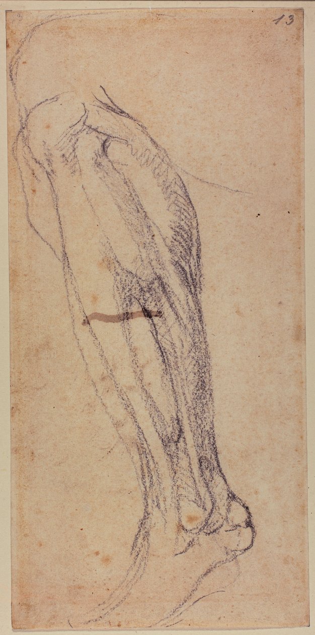 腿部研究 作者 米开朗基罗（Michelangelo Buonarroti）