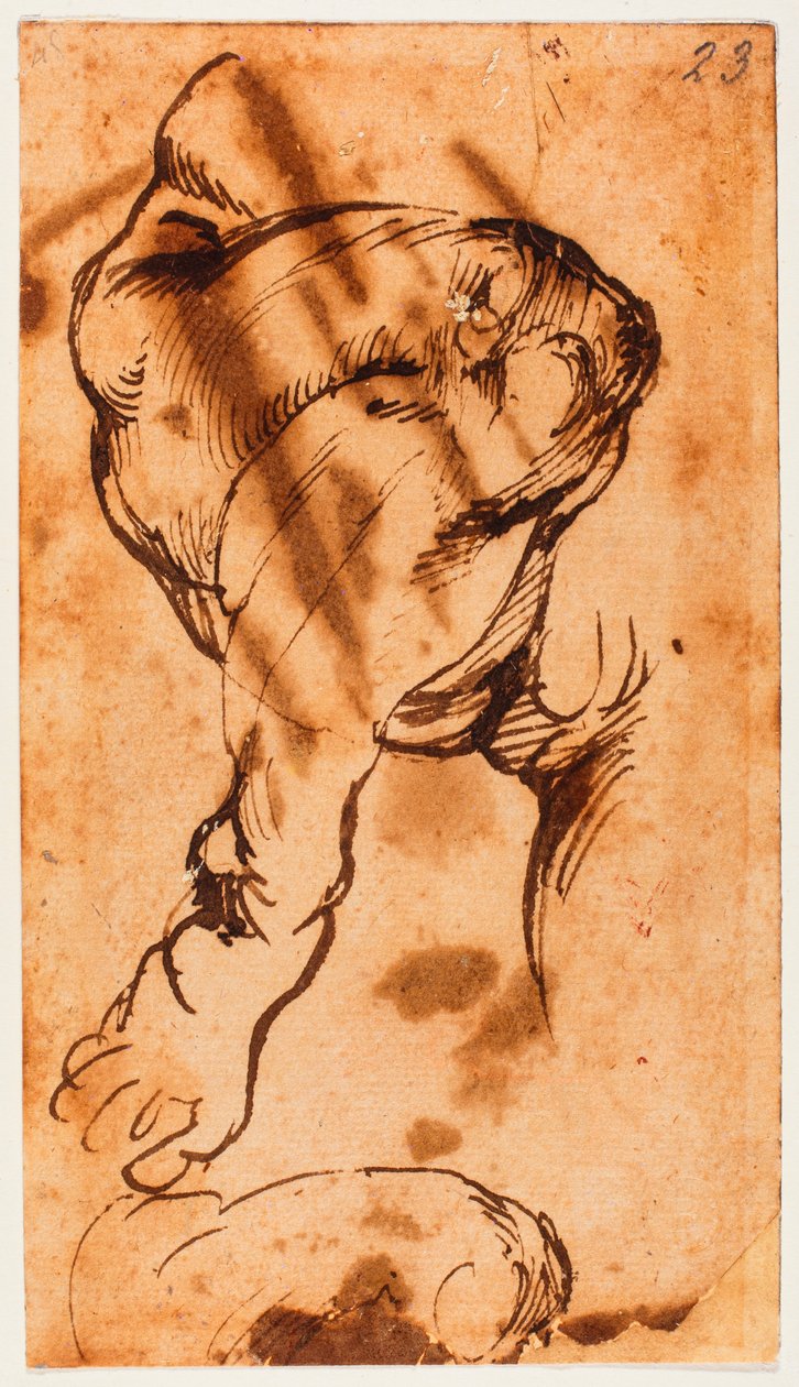 多尼通多儿童的腿部研究 作者 米开朗基罗（Michelangelo Buonarroti）