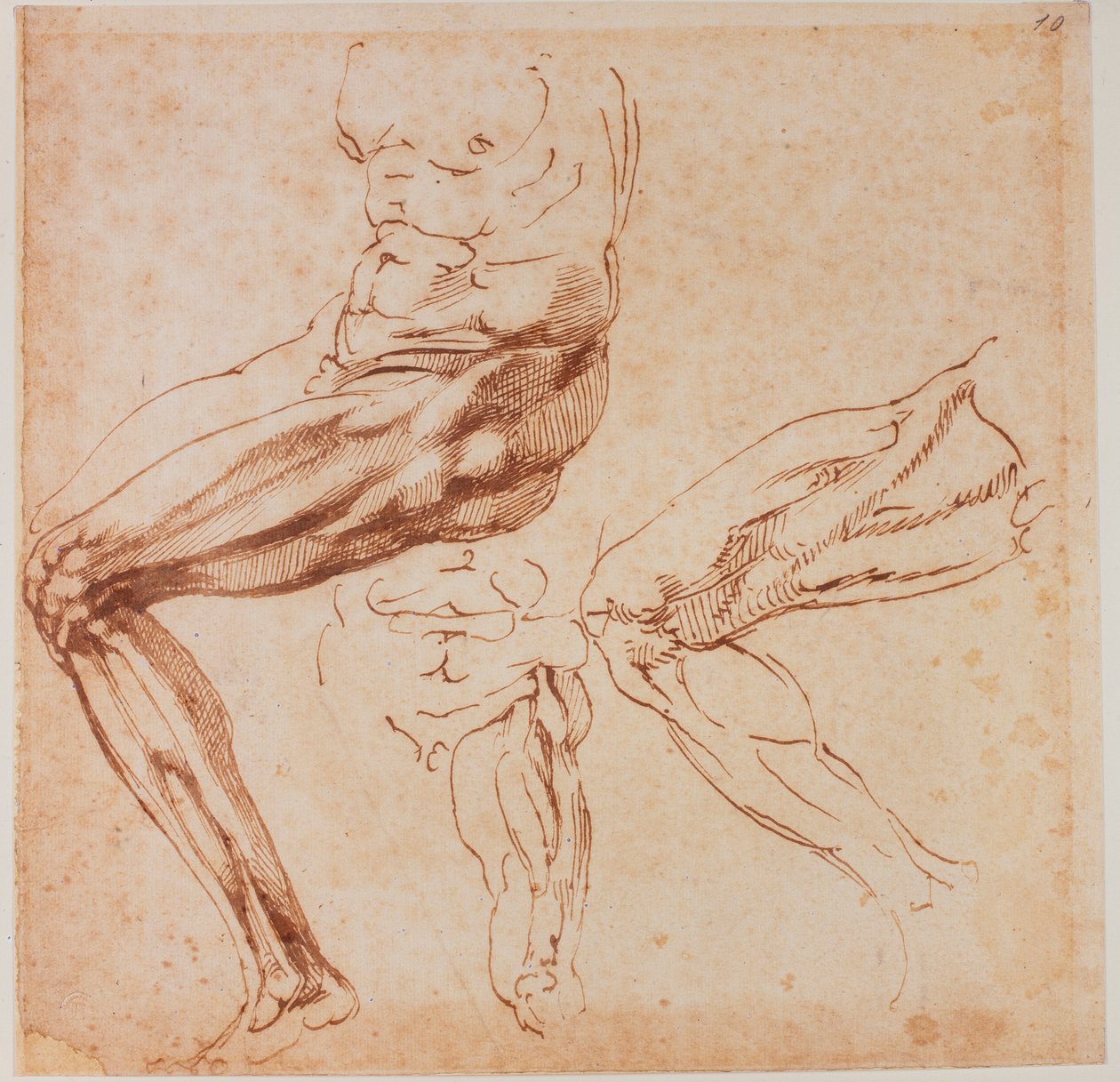腿部研究 作者 米开朗基罗（Michelangelo Buonarroti）