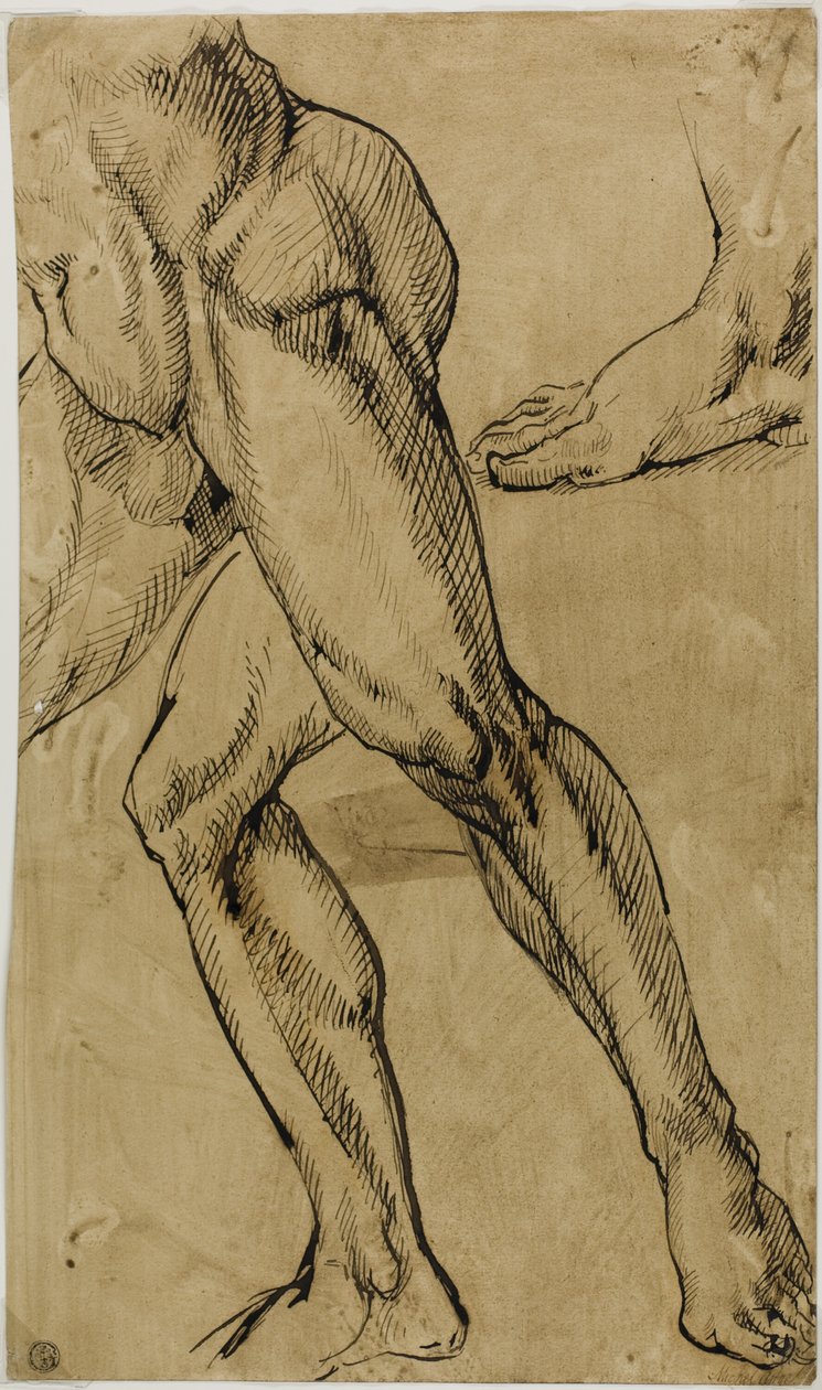 男性裸体的腿和脚 作者 米开朗基罗（Michelangelo Buonarroti）