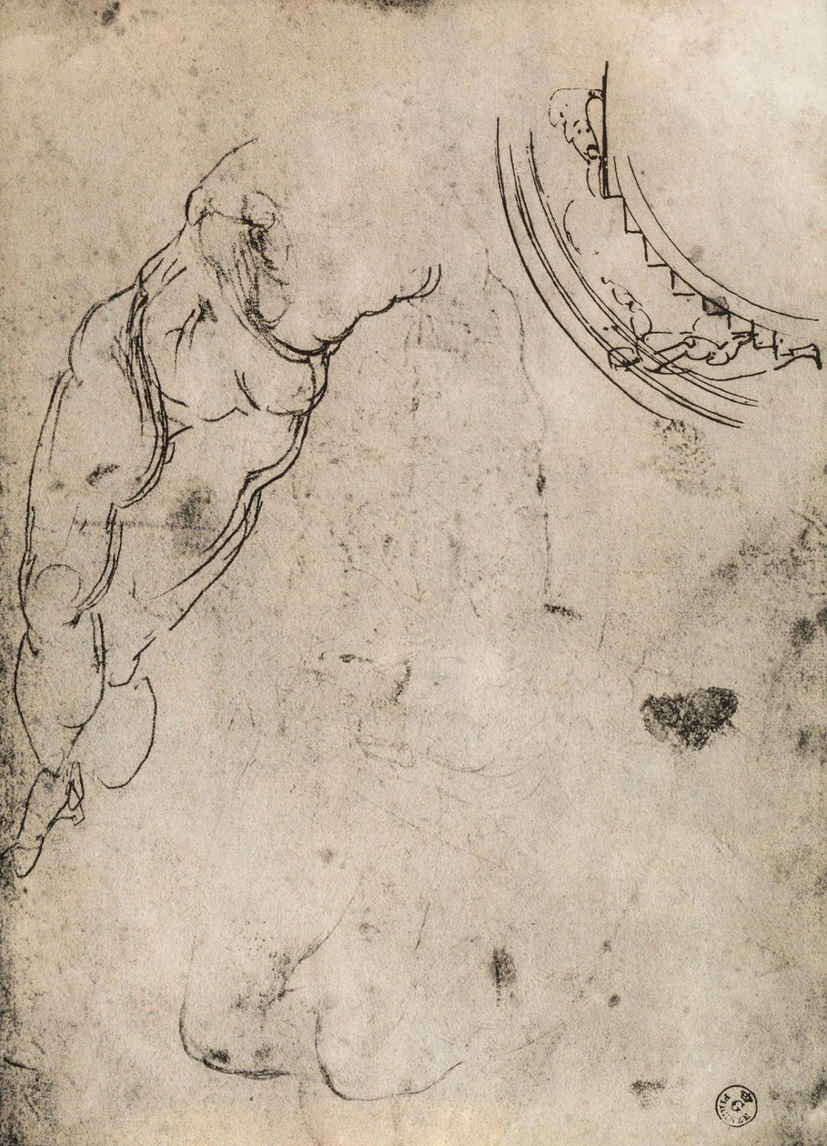 男性的腿，由米开朗基罗研究。内阁图纸和版画，乌菲齐画廊，佛罗伦萨 作者 米开朗基罗（Michelangelo Buonarroti）