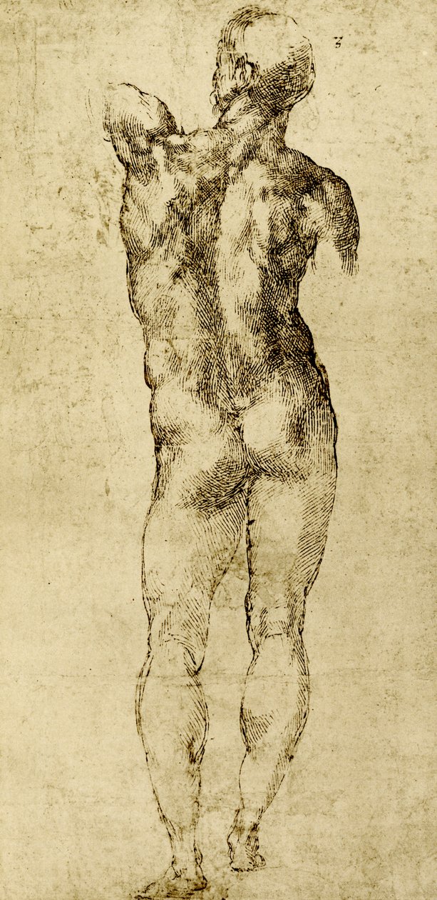 男性裸体 作者 米开朗基罗（Michelangelo Buonarroti）