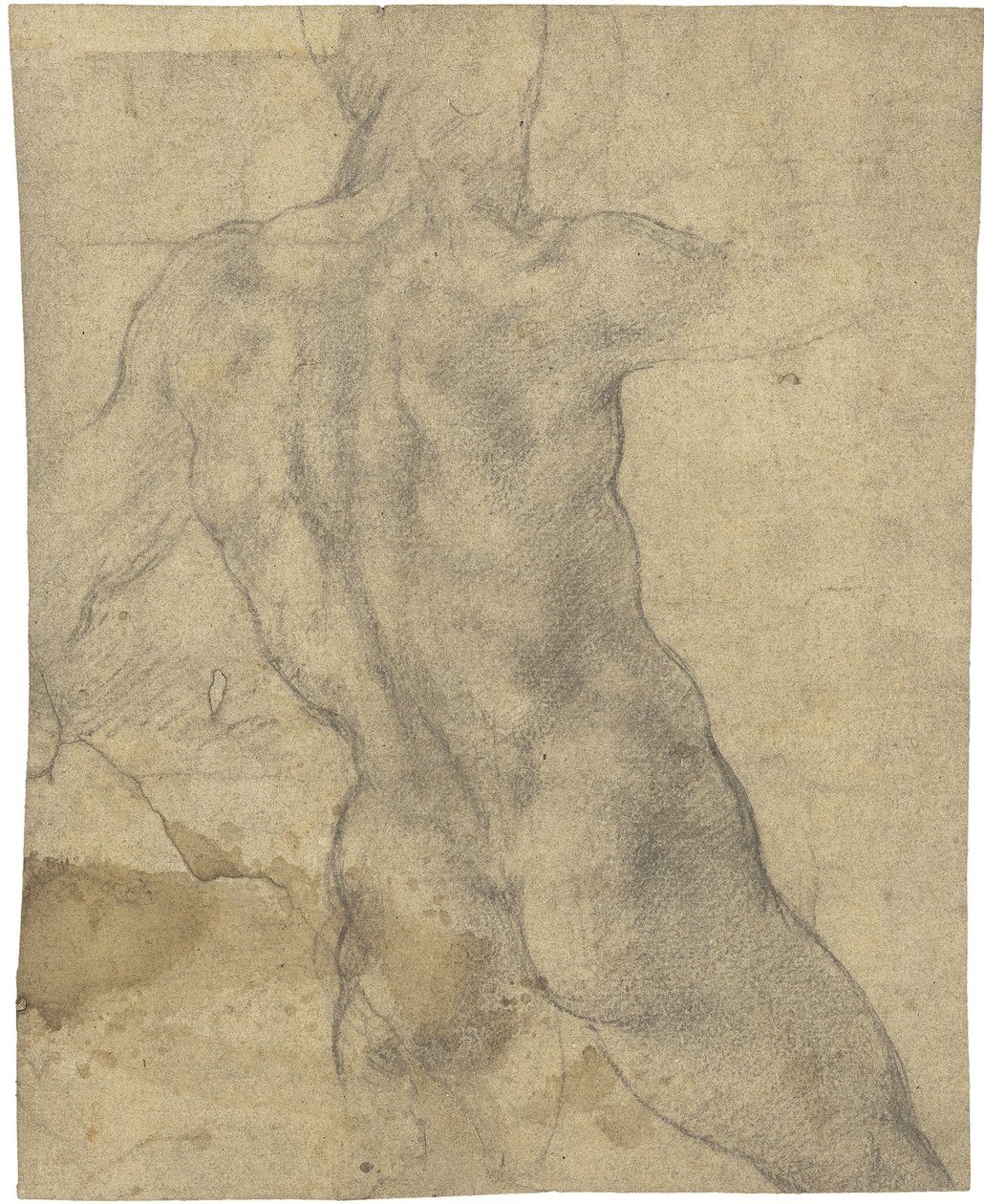 男性裸体 作者 米开朗基罗（Michelangelo Buonarroti）