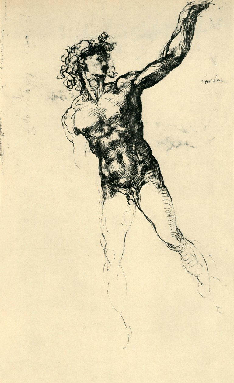 男性裸体（1503-1504），1943年。 作者 米开朗基罗（Michelangelo Buonarroti）
