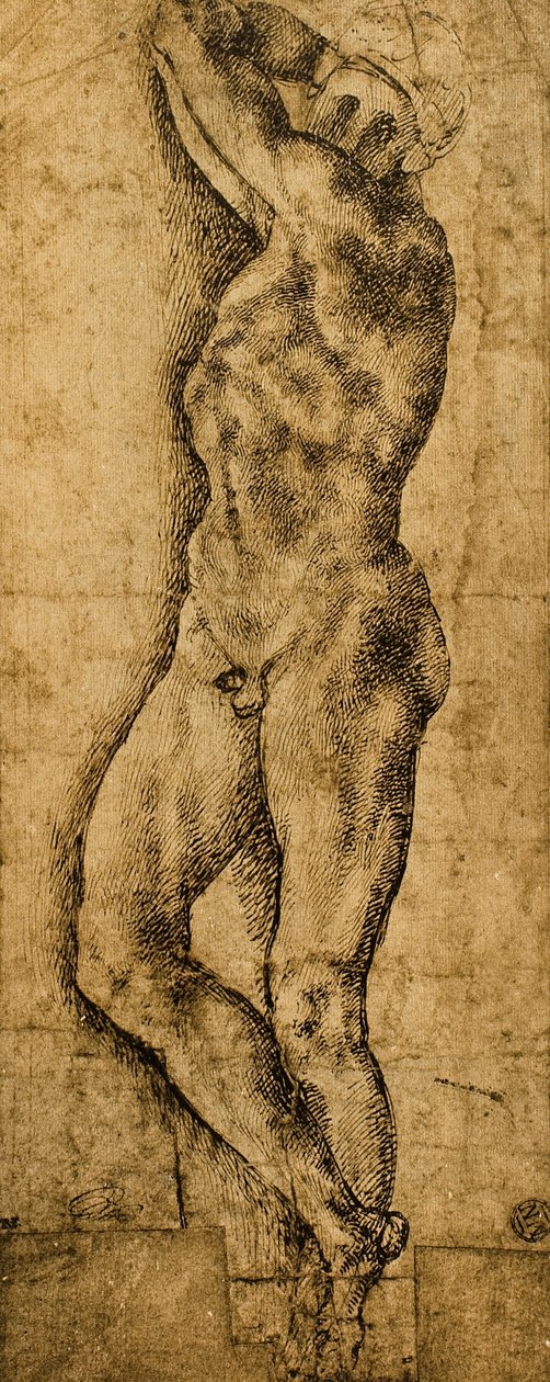 男性裸体;米开朗基罗画的。巴黎的卢浮宫 作者 米开朗基罗（Michelangelo Buonarroti）