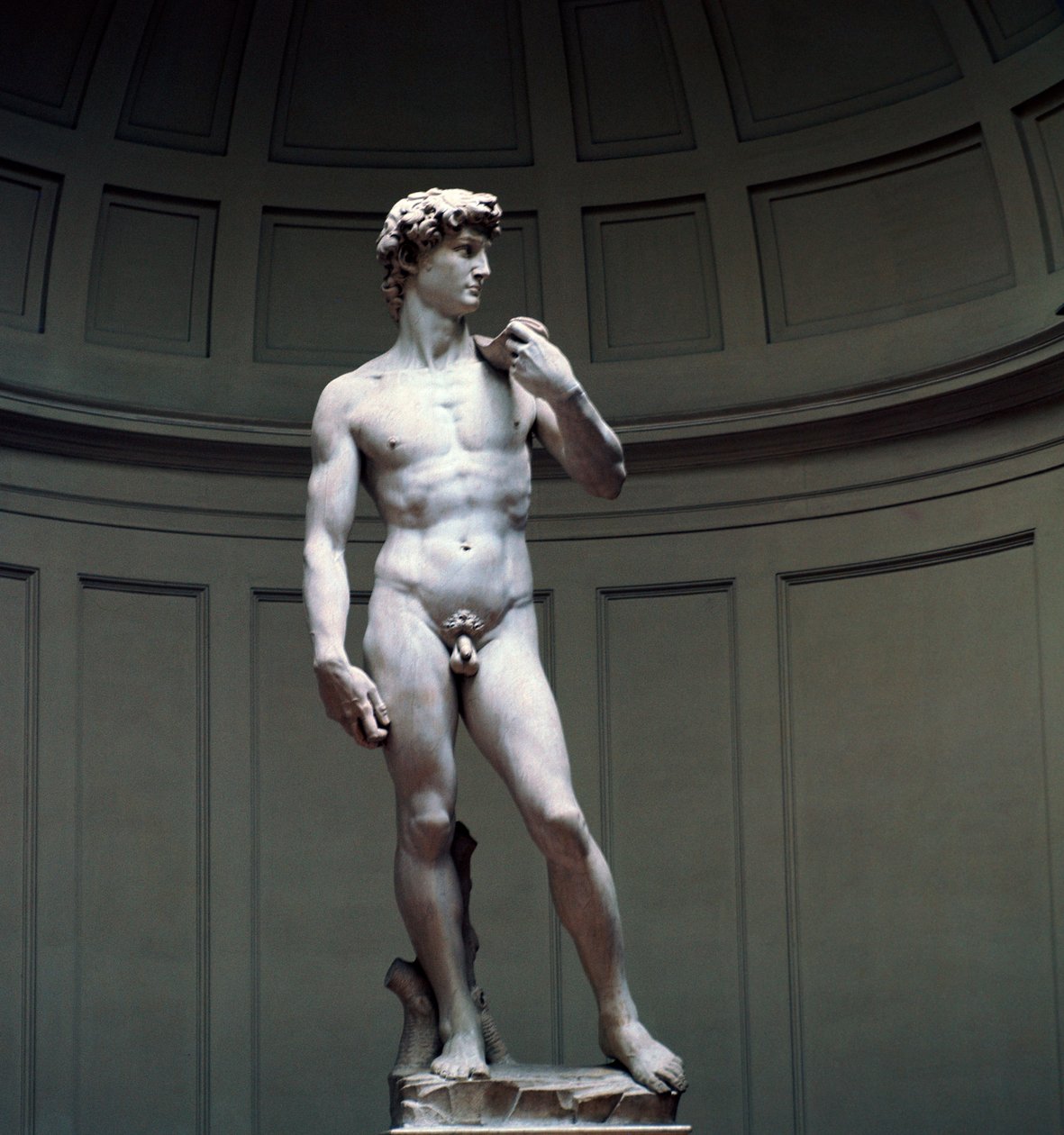 米开朗基罗的《大卫》，16世纪 作者 米开朗基罗（Michelangelo Buonarroti）
