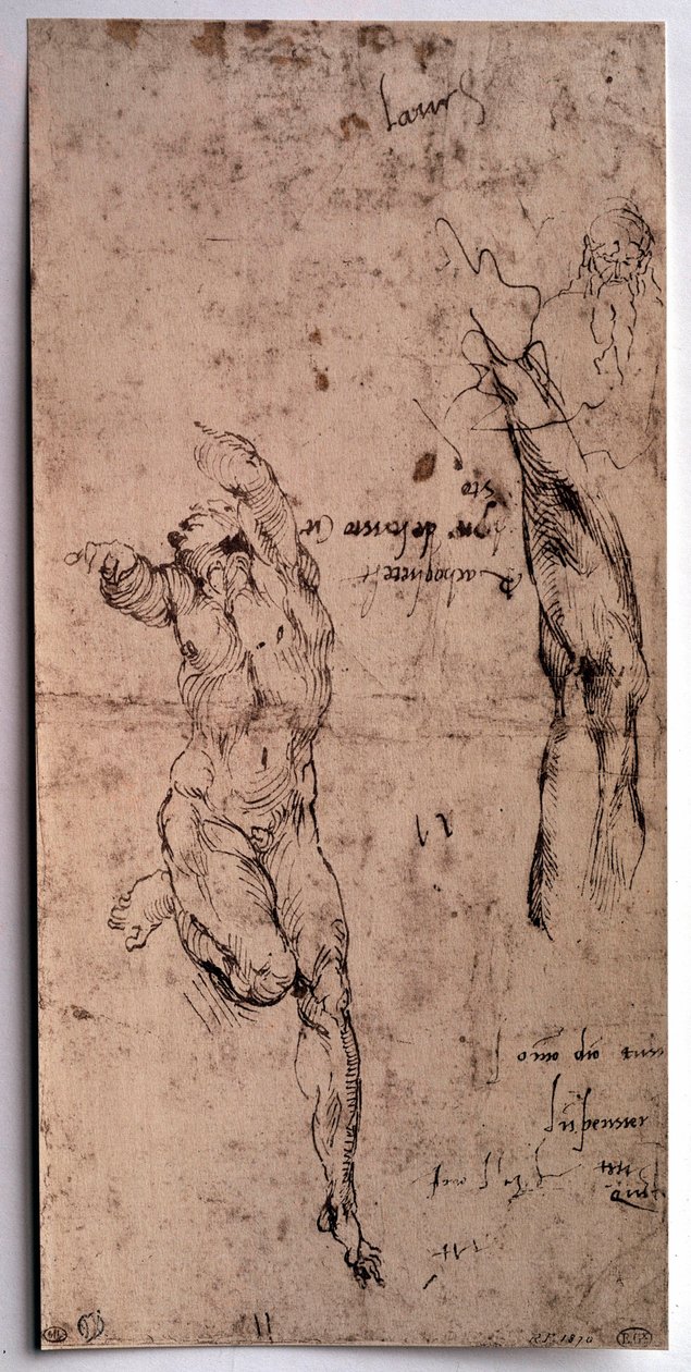 Naked man, arm study Drawing by Michelangelo Buonarroti dit Michelangelo (Michelangelo or Michel Ange 作者 米开朗基罗（Michelangelo Buonarroti）