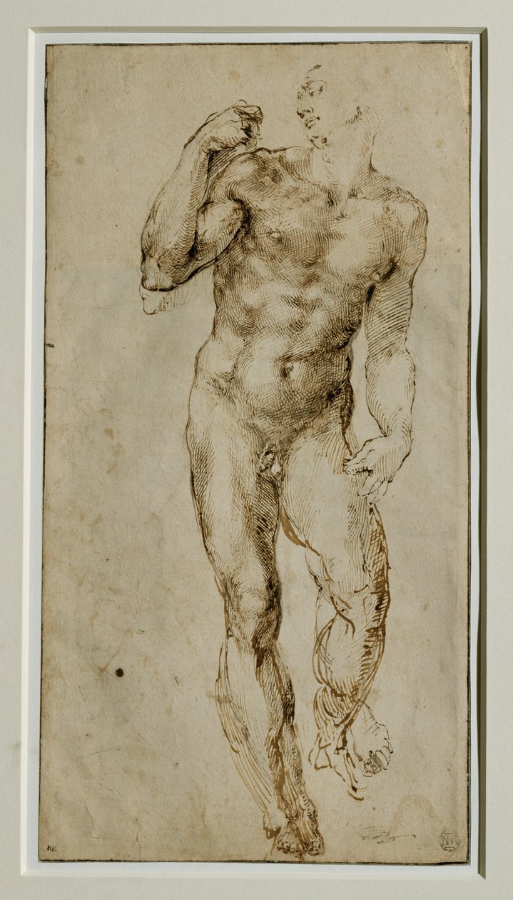 男性裸体，正面，约 1502-1506 ... 作者 米开朗基罗（Michelangelo Buonarroti）