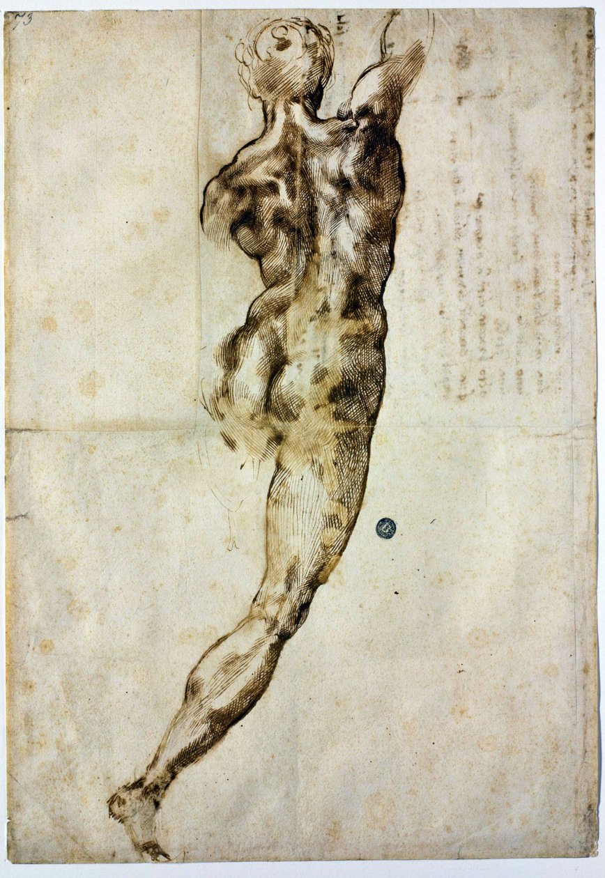裸体从后面c。 1504 作者 米开朗基罗（Michelangelo Buonarroti）